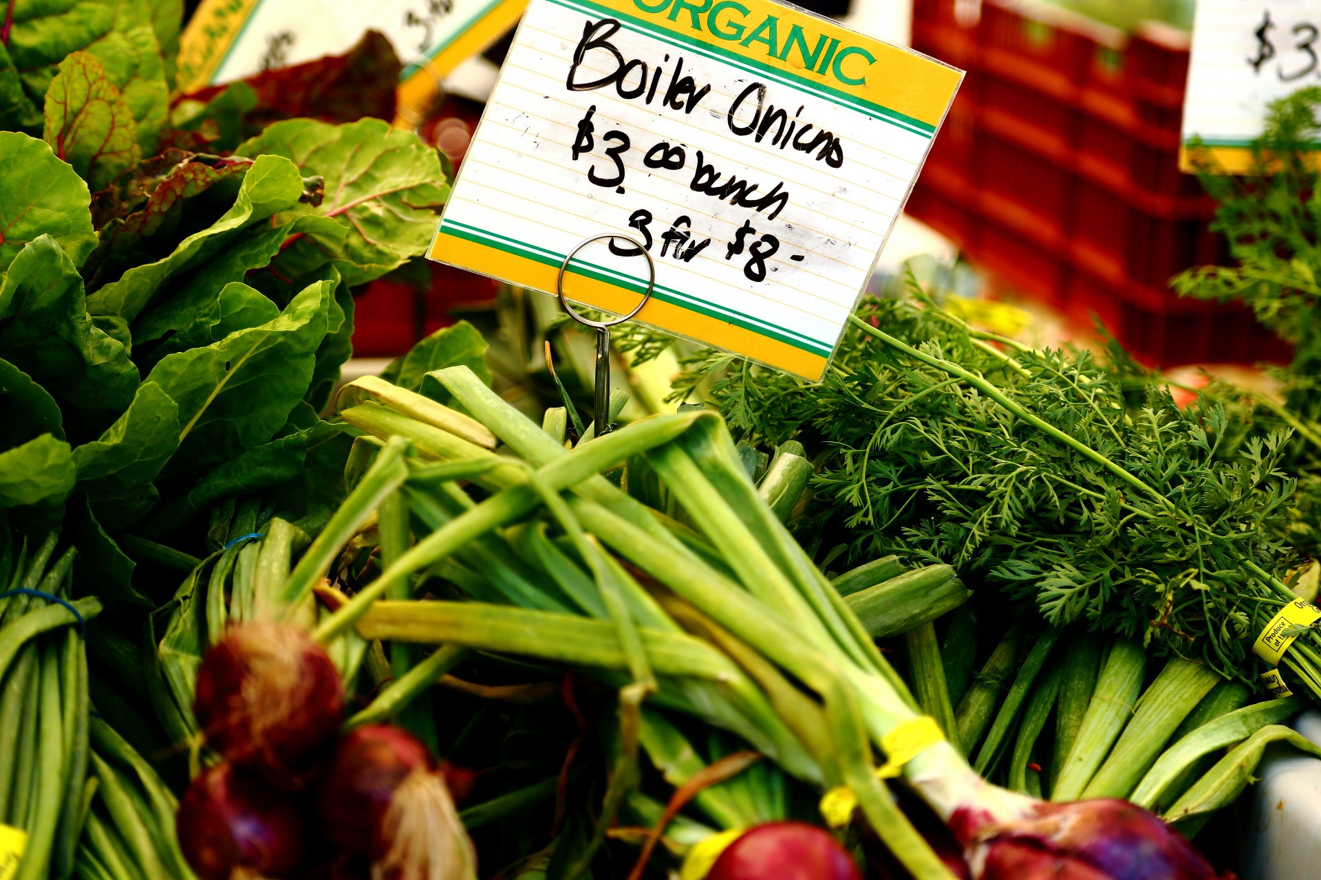 Farmer's Market - East High (Esplanade) Farmer's Market. by Scott Smith Photos