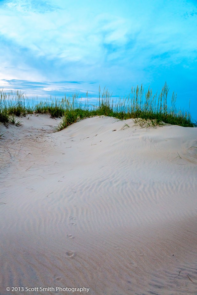 Sunset Dune -  by Scott Smith Photos