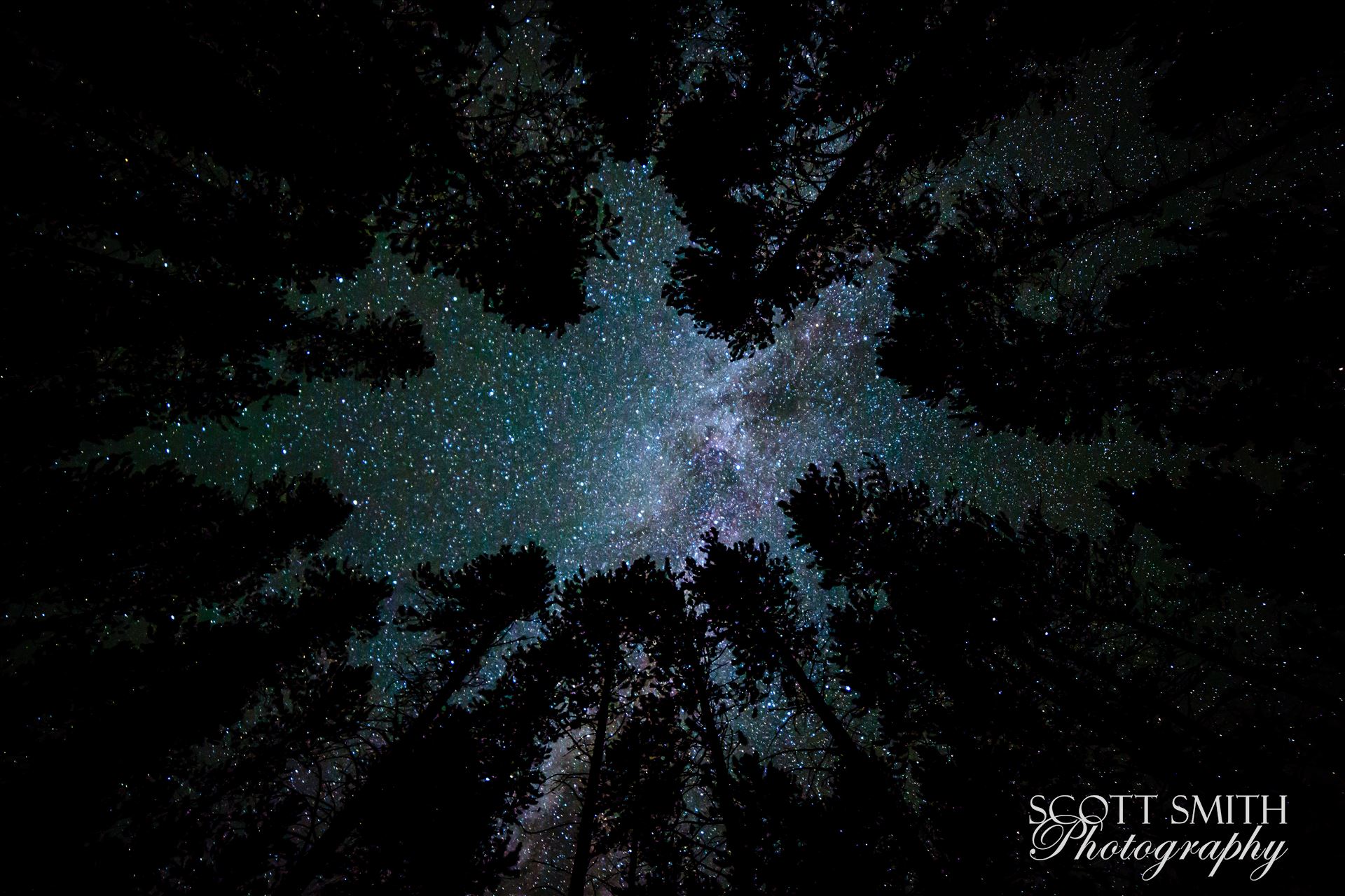 Camping with a View - Landscape - A beautiful view of the milky way from our campsite at Turquoise Lake, Leadville Colorado, adjusted for portrait view. by Scott Smith Photos
