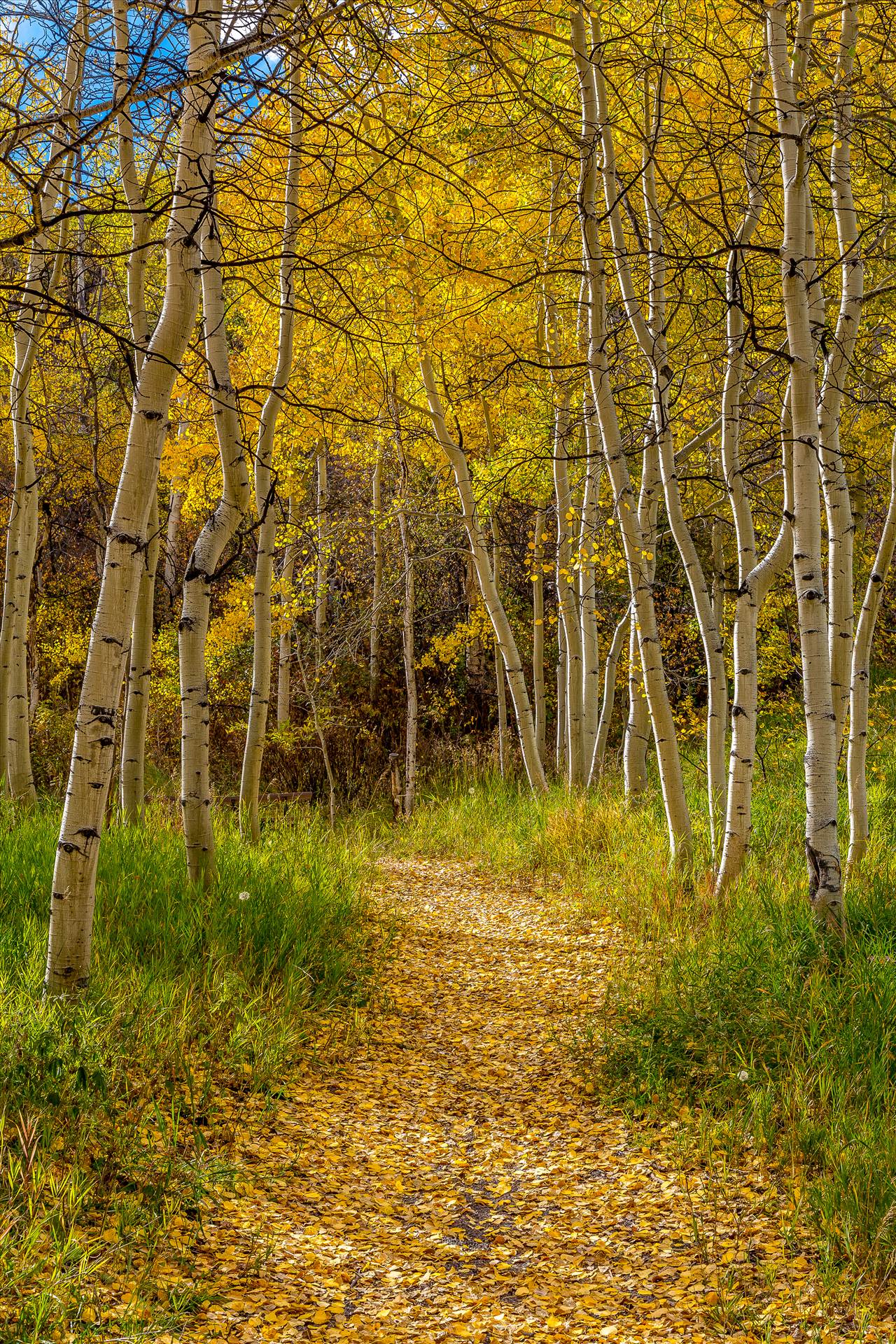 _C4C3848-2.jpg -  by Scott Smith Photos