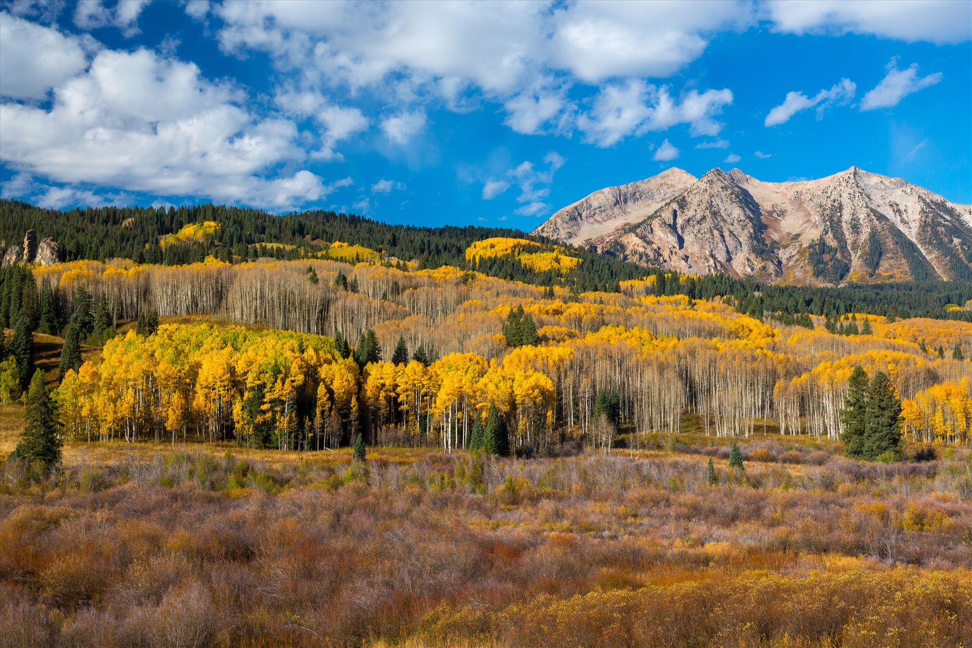 East Beckwith Mountain - East Beckwith mountain surrounded by fall colors. Taken a few steps off Kebler Pass, Crested Butte, Colorado. by Scott Smith Photos