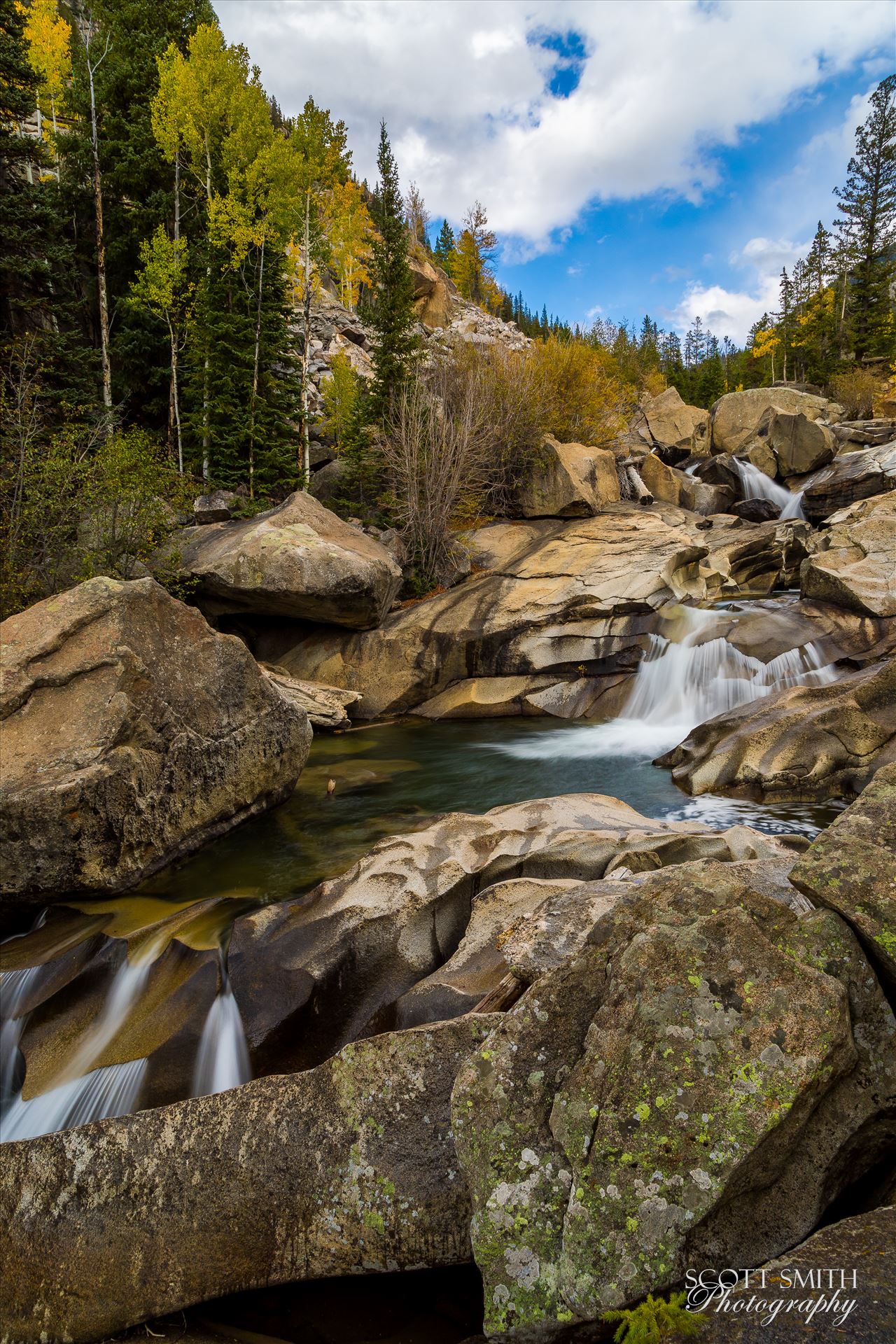 Aspen Grottos II -  by Scott Smith Photos