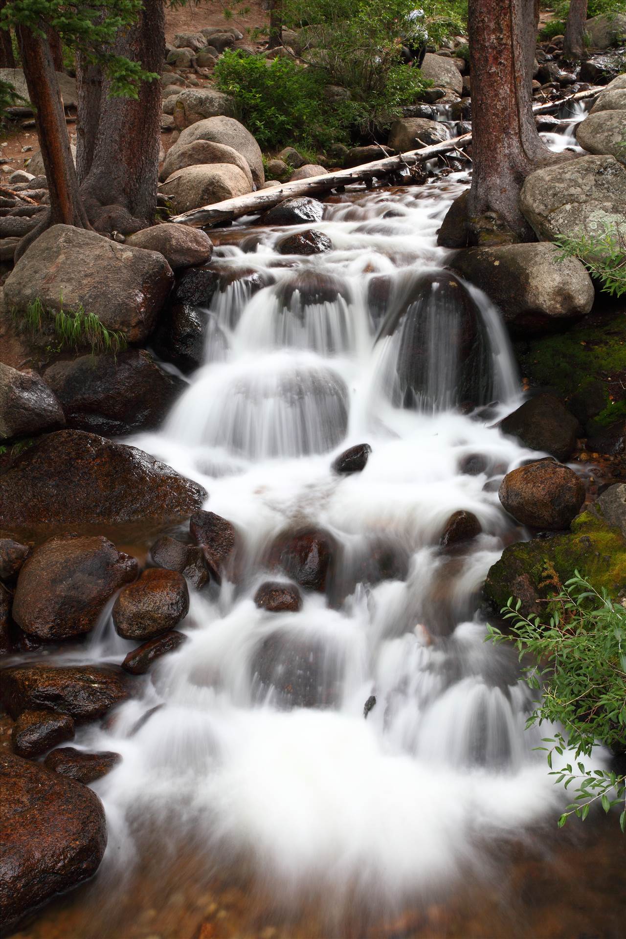 Mt Evans Waterfall II -  by Scott Smith Photos