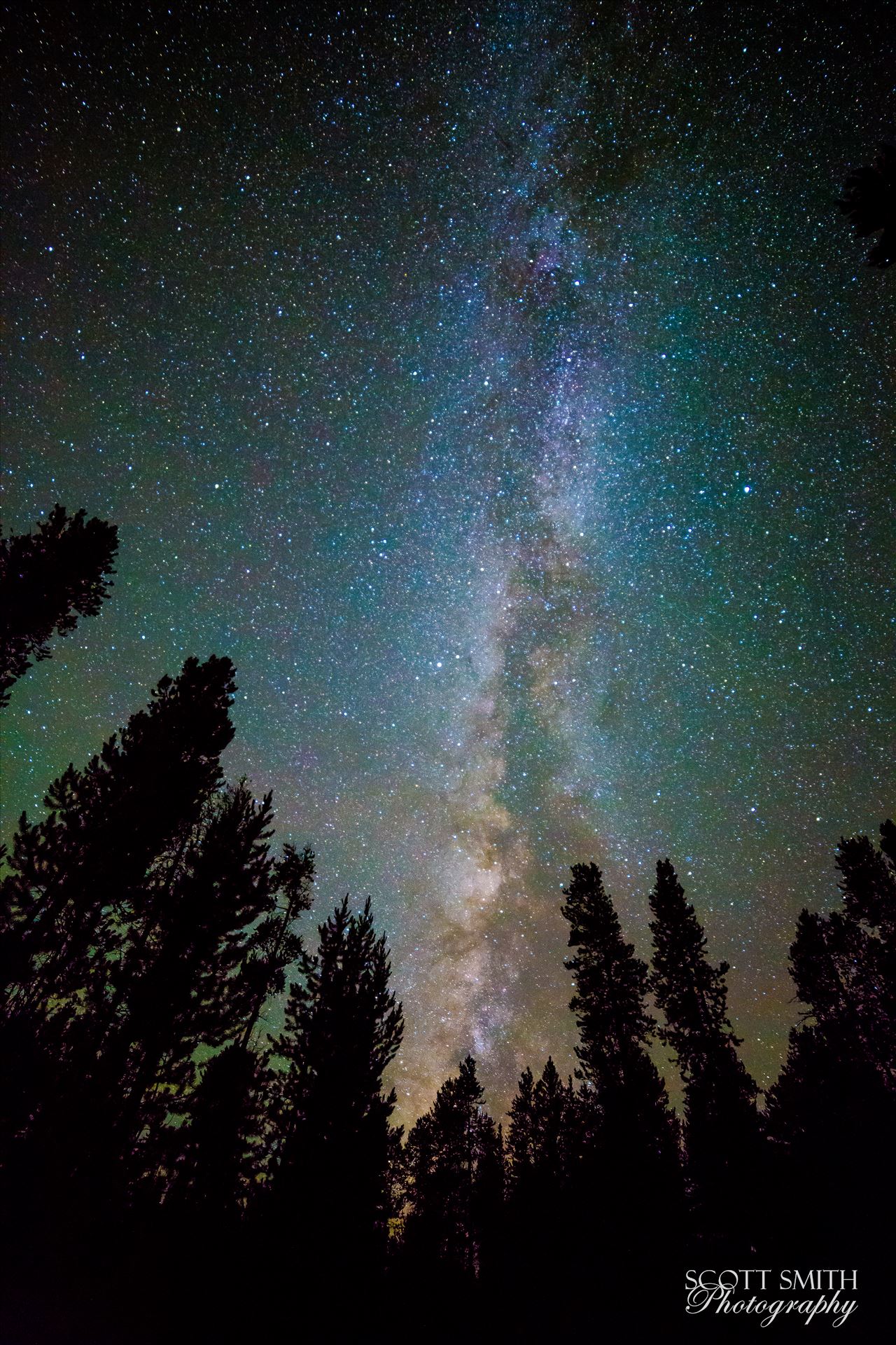 Leadville Starry Sky - Another beautiful view of the milky way from our campsite at Turquoise Lake, Leadville Colorado. by Scott Smith Photos