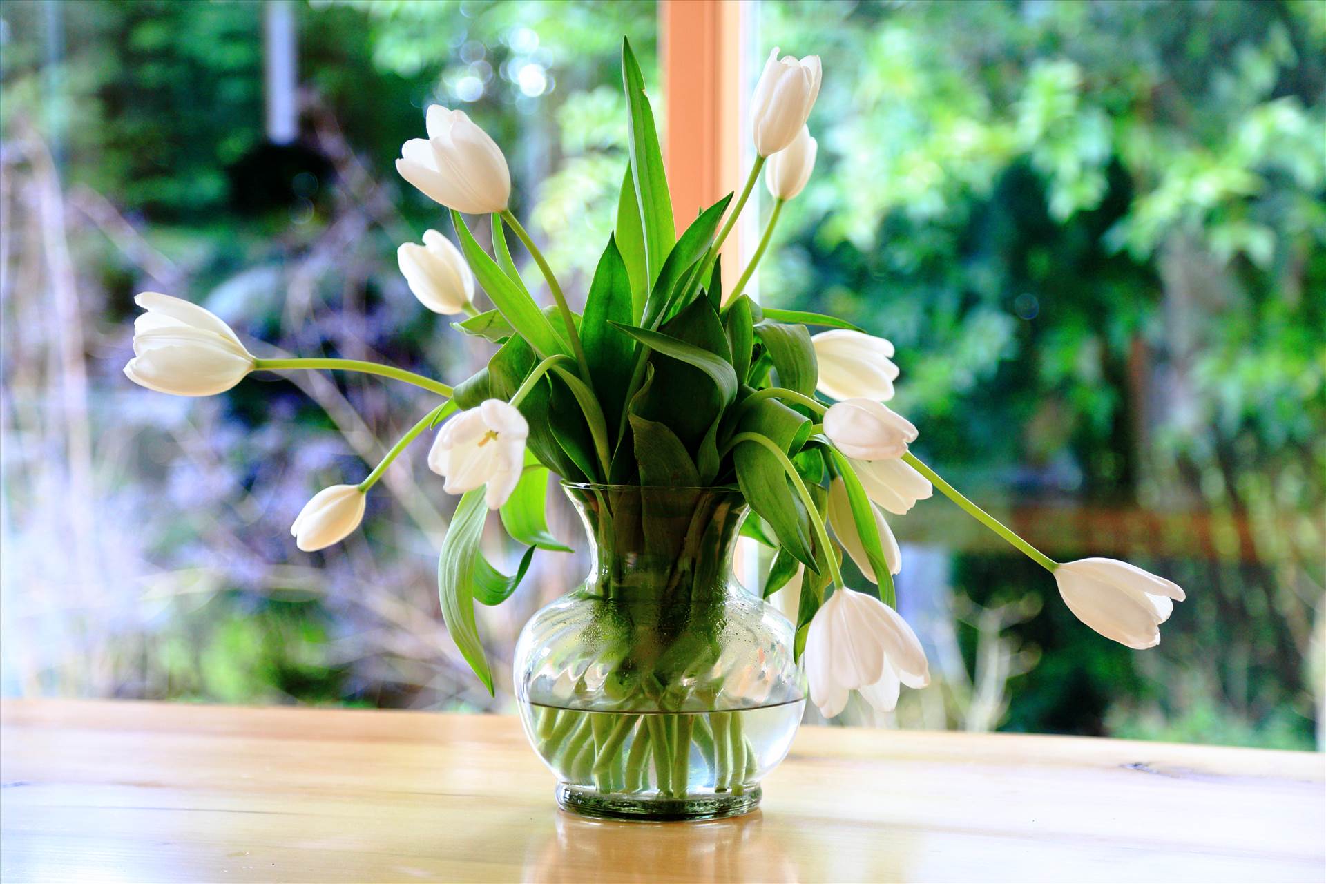 Centerpiece - A beautiful arrangement of local flowers at a Washington wedding by Scott Smith Photos