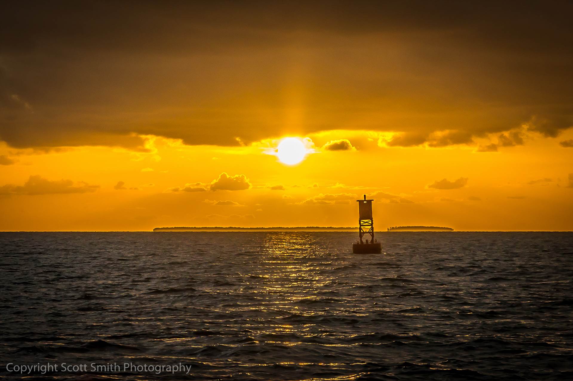 _C4C1154.JPG -  by Scott Smith Photos