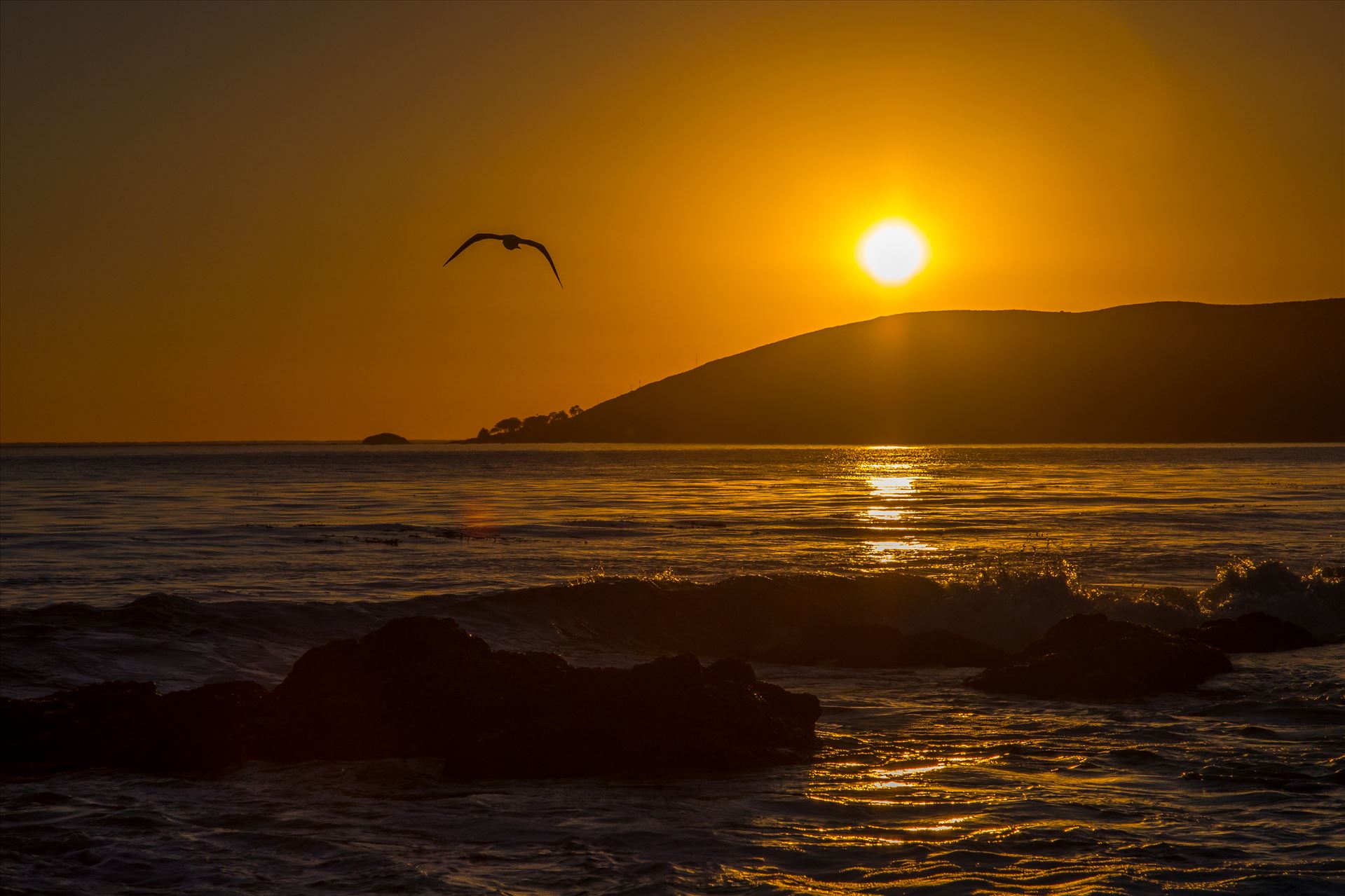 Sunset at Shell Beach 1 -  by Scott Smith Photos