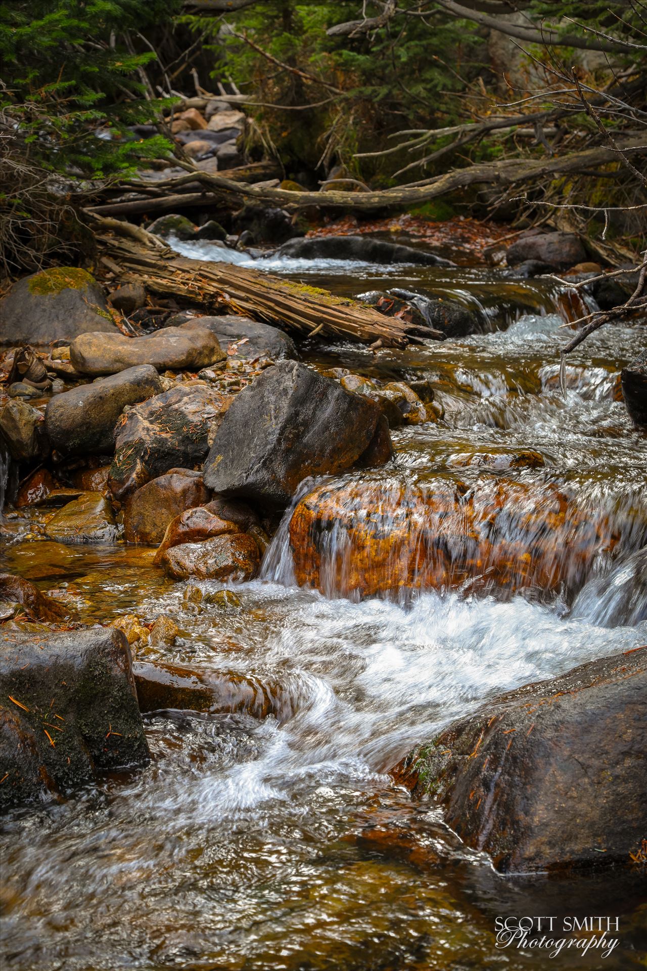 Near Alberta Falls, Rocky Mountain National Park -  by Scott Smith Photos