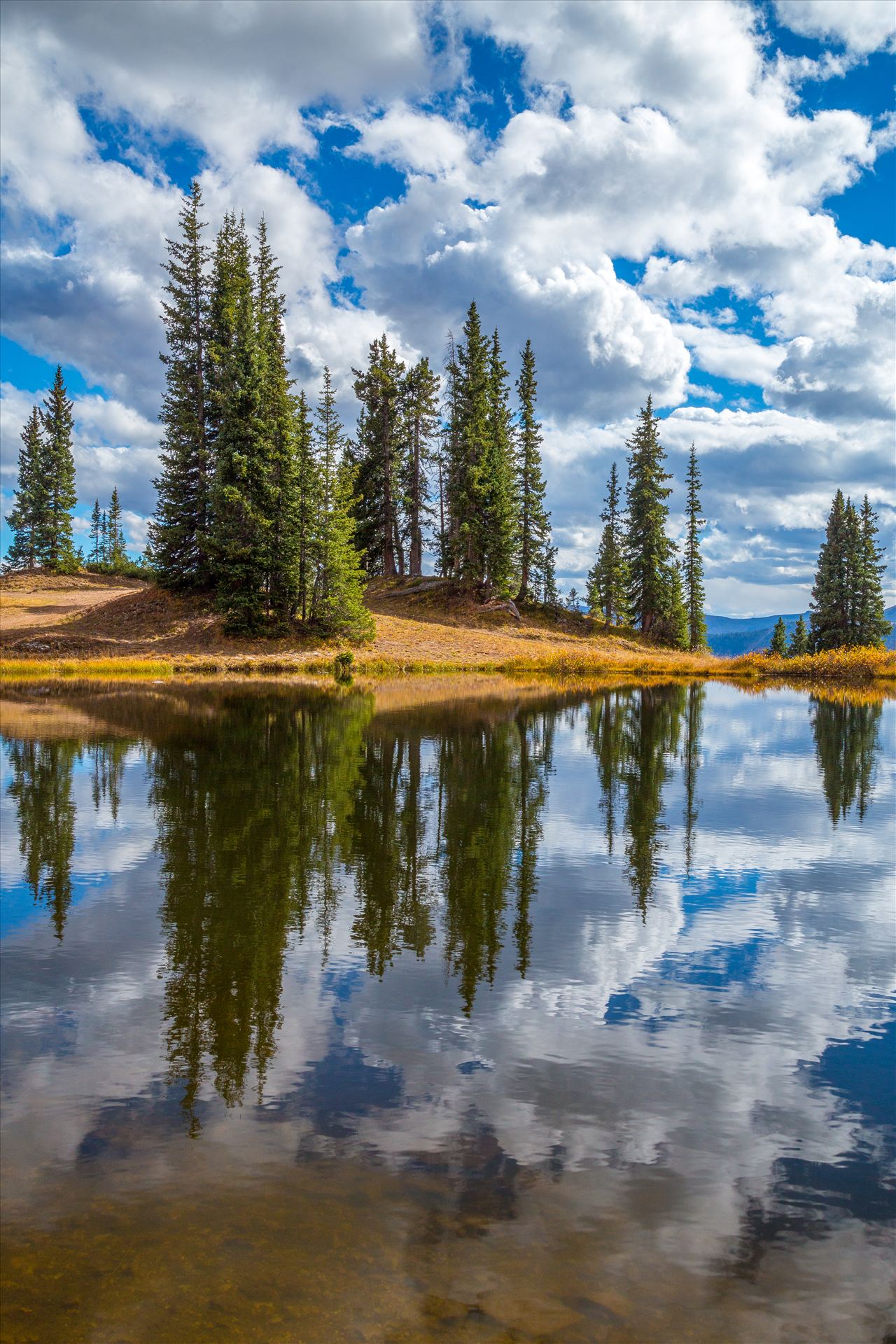 Mount Badly Wilderness Lake - A still, tiny lake sites near the summit of Schofield Pass. by Scott Smith Photos