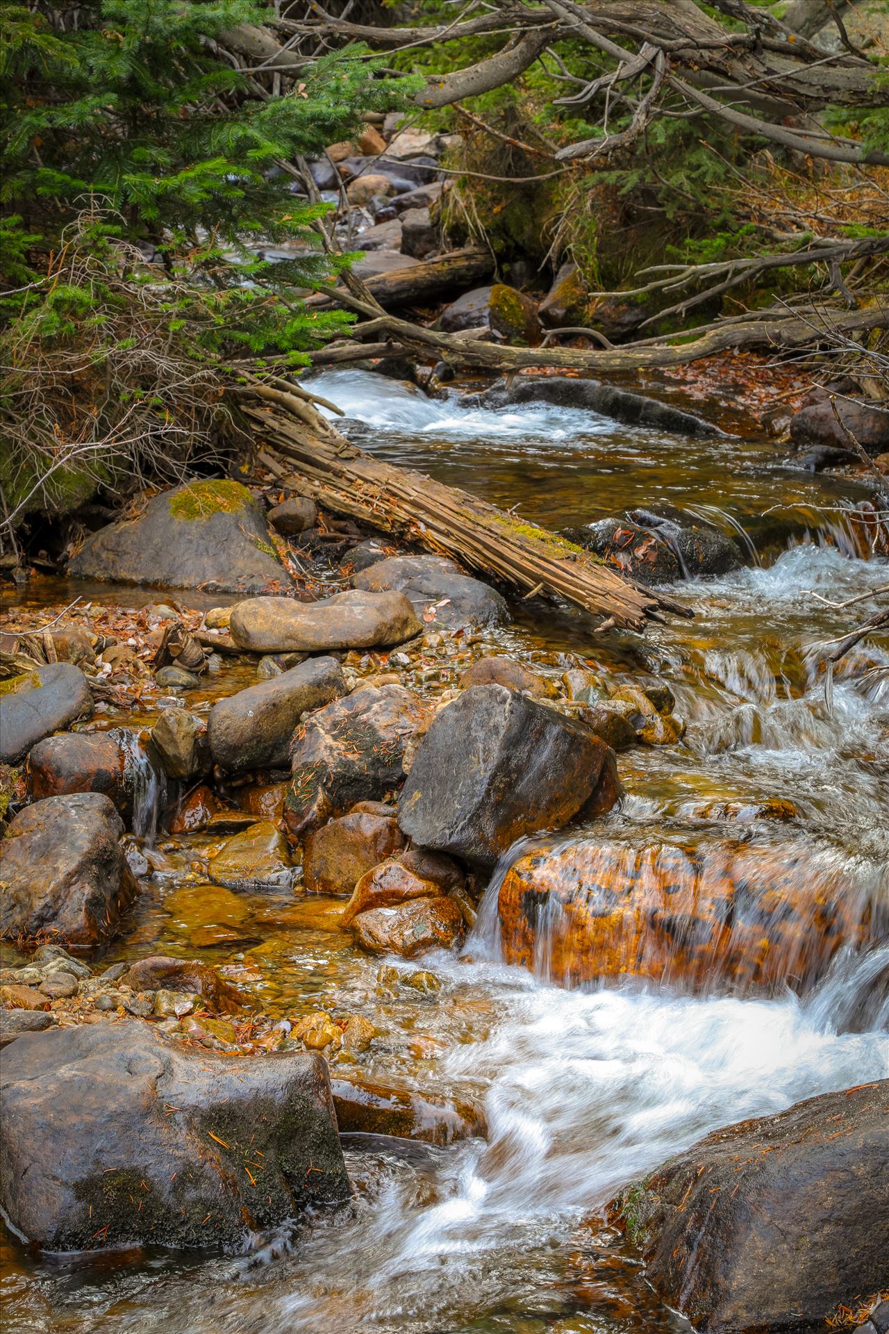 9Y9A5333.jpg -  by Scott Smith Photos