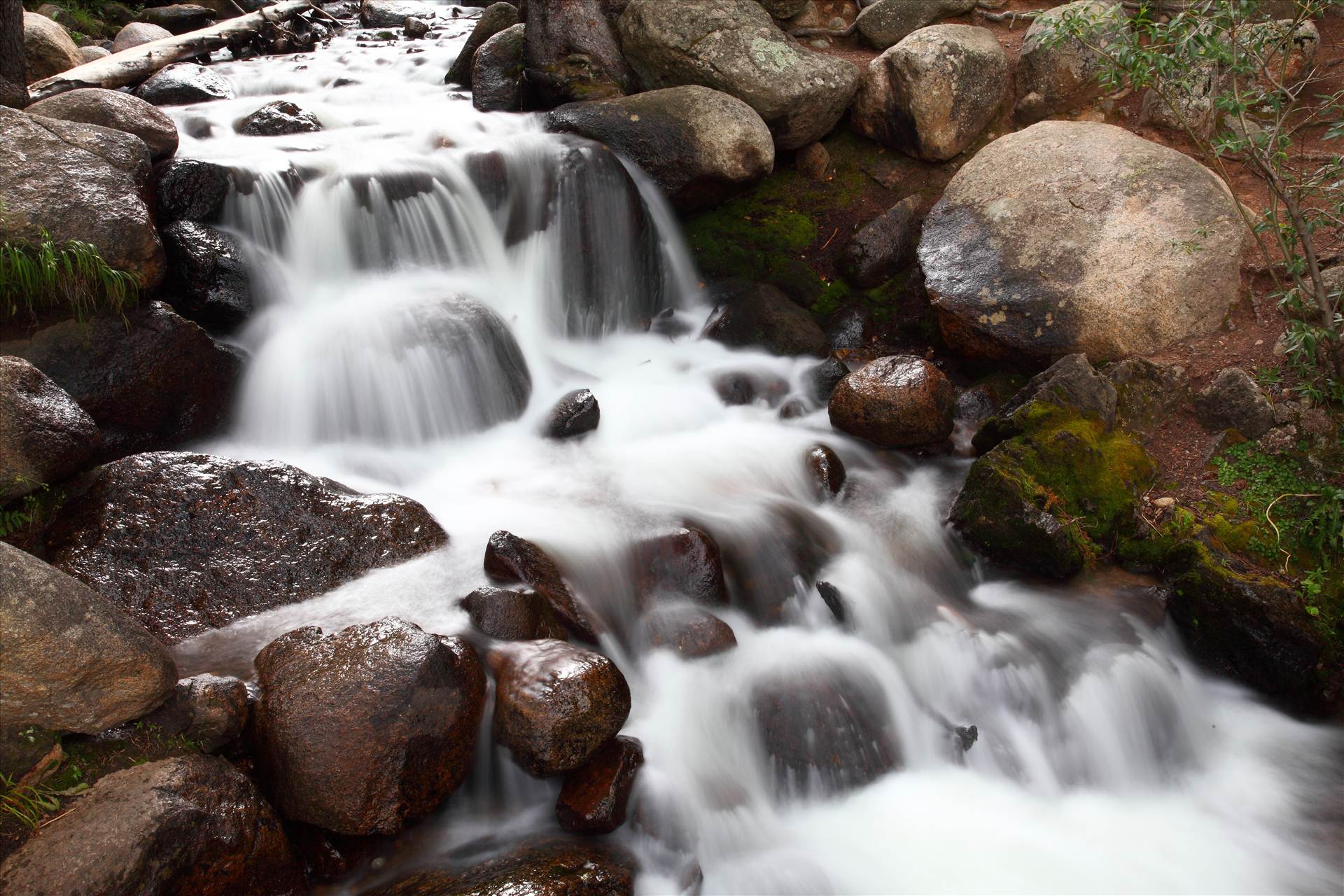 canon_0493.JPG -  by Scott Smith Photos