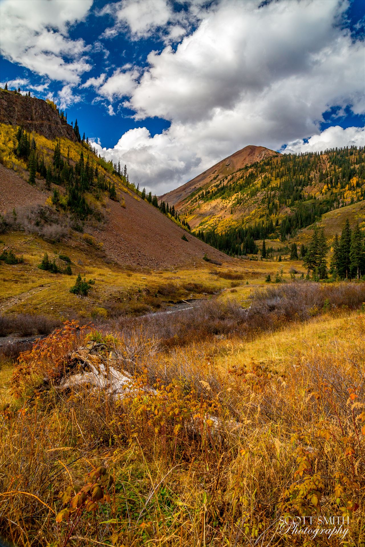 Washington Gulch - Nestled in Washington Gulch, a small stream works between the mountains. by Scott Smith Photos