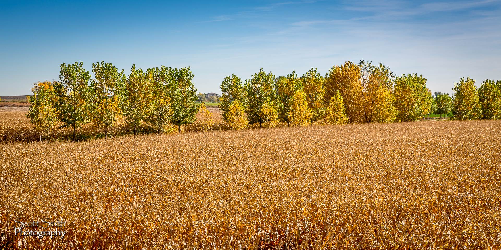 Field - Anderson Farms, Erie Colorado. by Scott Smith Photos