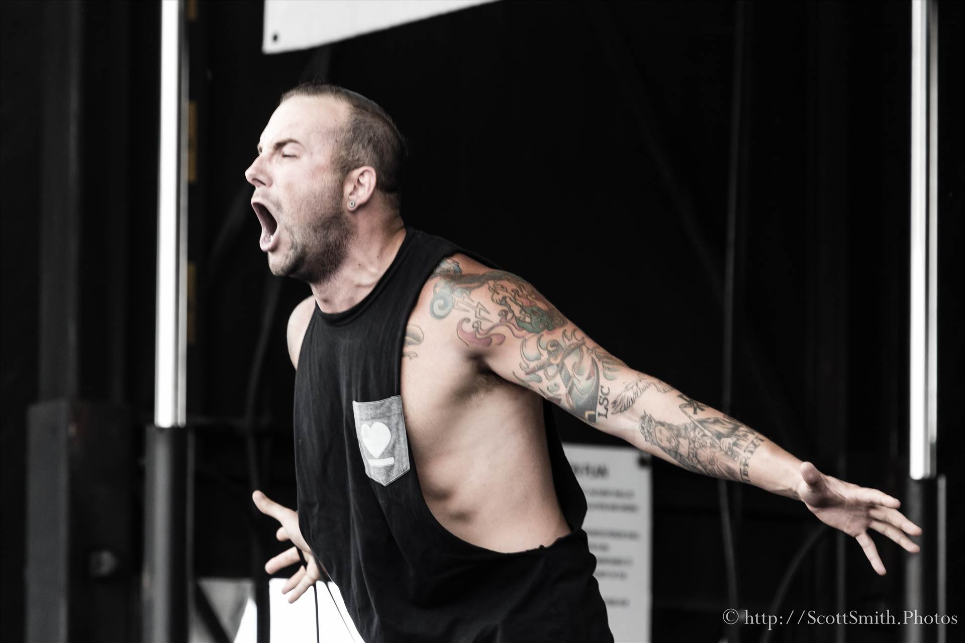 Denver Warped Tour 2015 33 -  by Scott Smith Photos