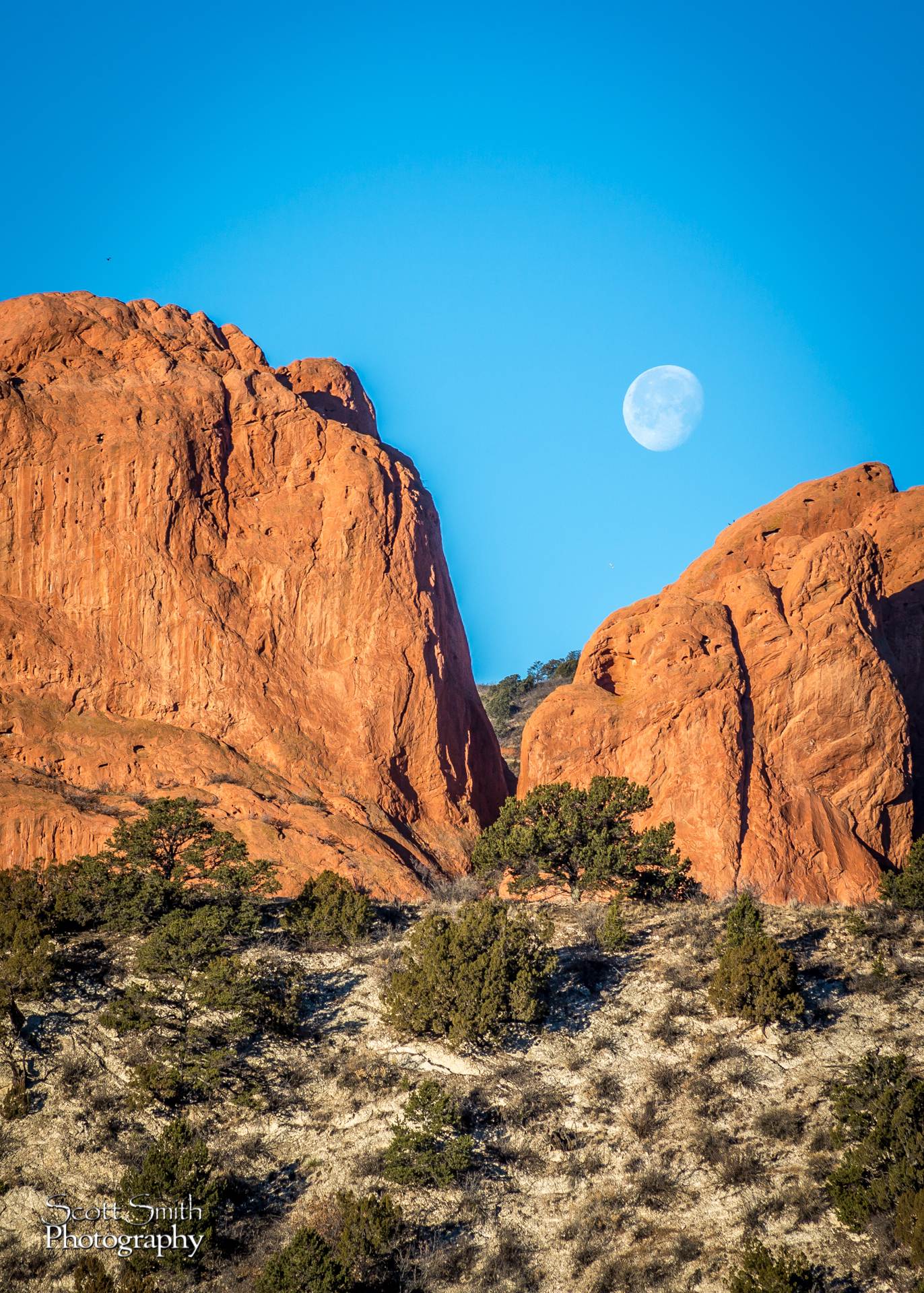 _C4C7929.jpg -  by Scott Smith Photos