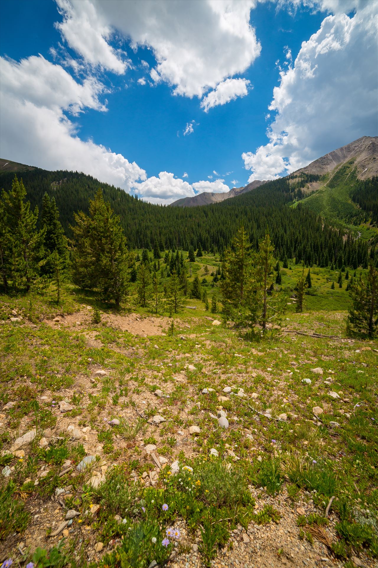 Independence Pass 01 -  by Scott Smith Photos