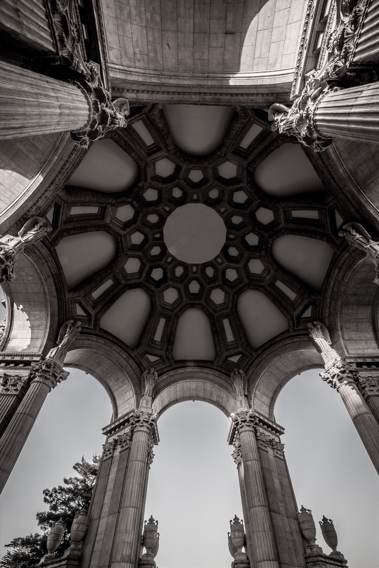 Palace of Fine Arts 3 -  by Scott Smith Photos