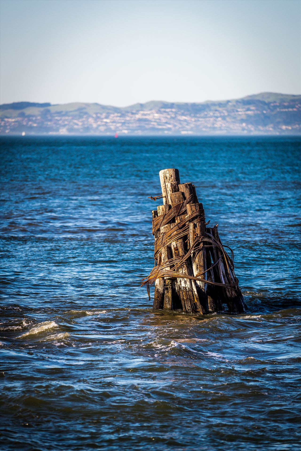 San Francisco Bay Pilings -  by Scott Smith Photos