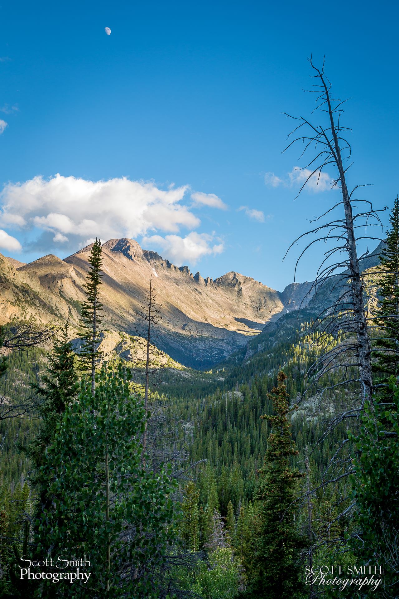 Bear Lake Trail 7 -  by Scott Smith Photos