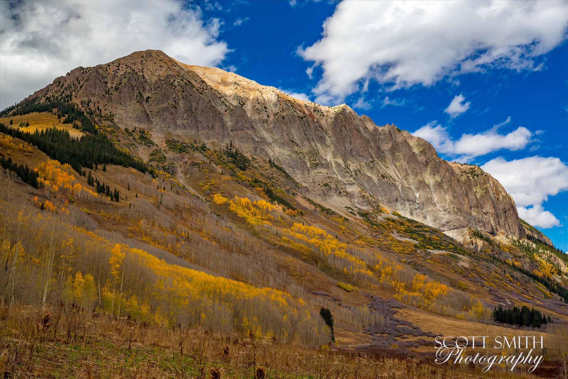 Gothic Mountain - Fall colors on Gothic mountain, near Crested Butte Colorado. by Scott Smith Photos