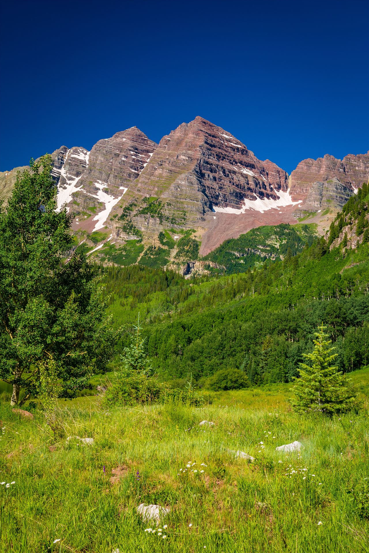 Maroon Bells in Summer No 05 -  by Scott Smith Photos