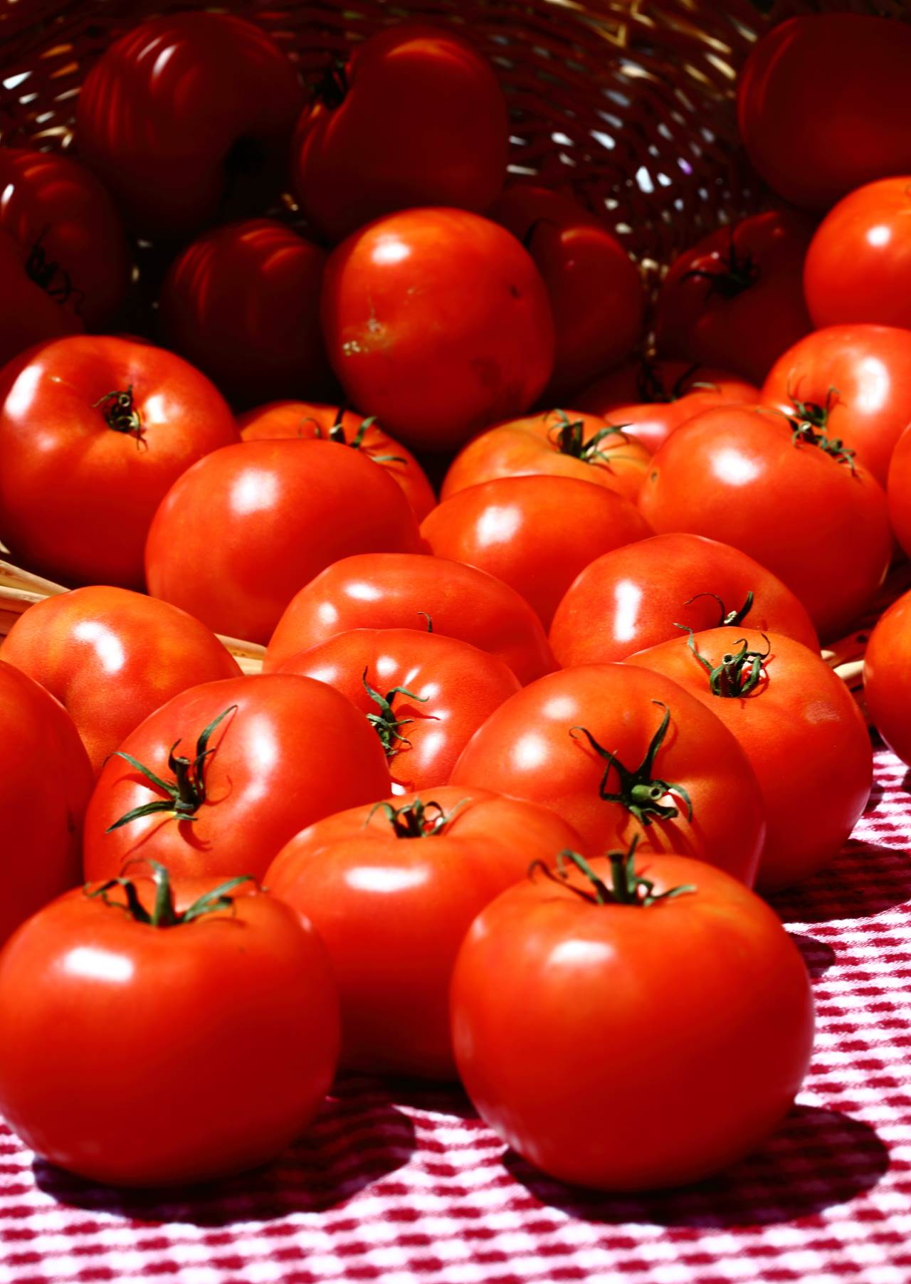 Tomatoes -  by Scott Smith Photos