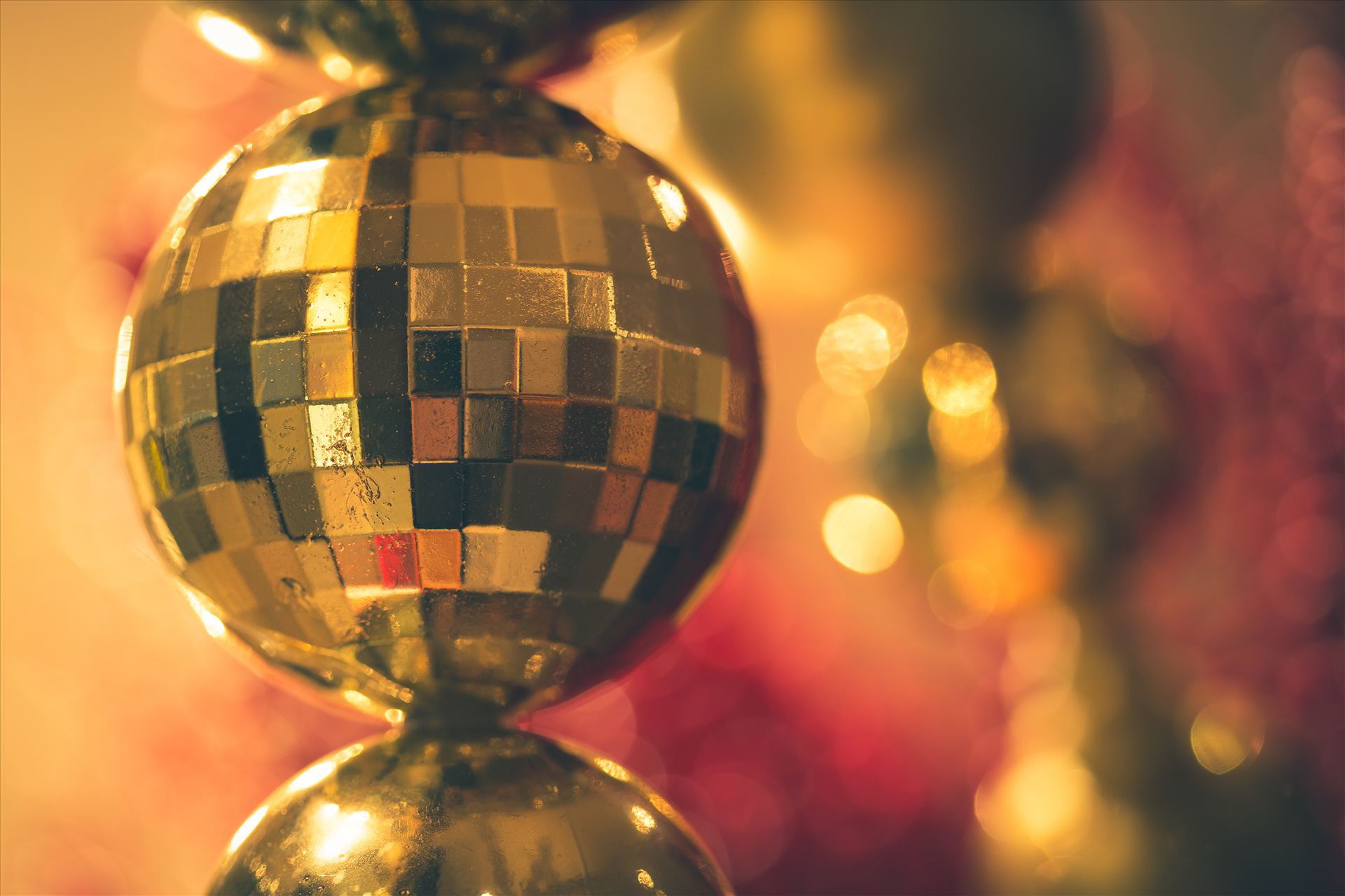 Ornamental - An ornament hangs in a store window at Cherry Creek Shopping Center, Denver Colorao. by Scott Smith Photos