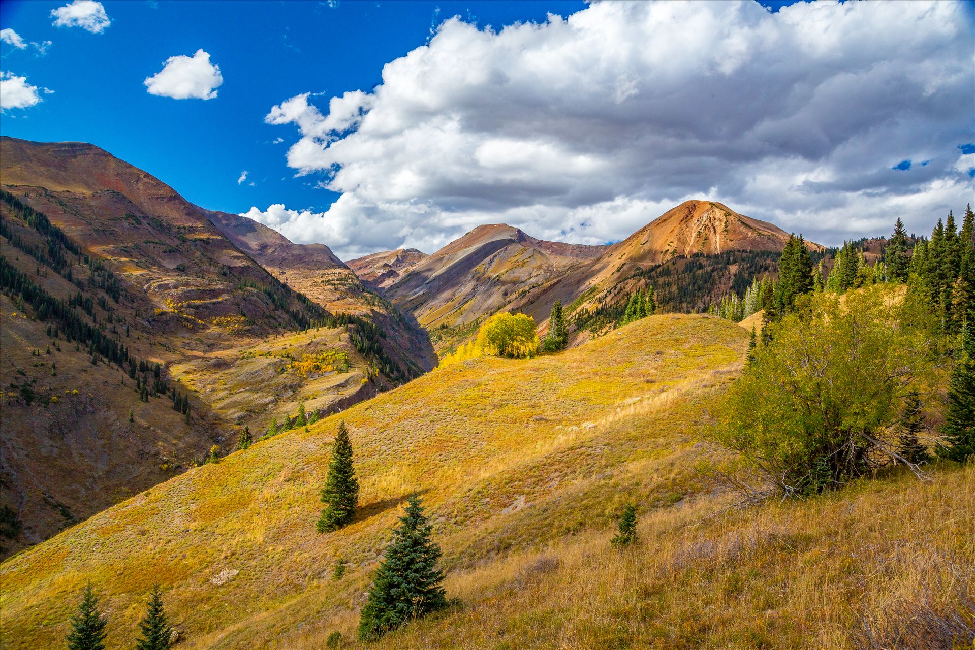 Schofield Pass Summit - View of Mount Baldy from near the summit of Schofield Pass. by Scott Smith Photos