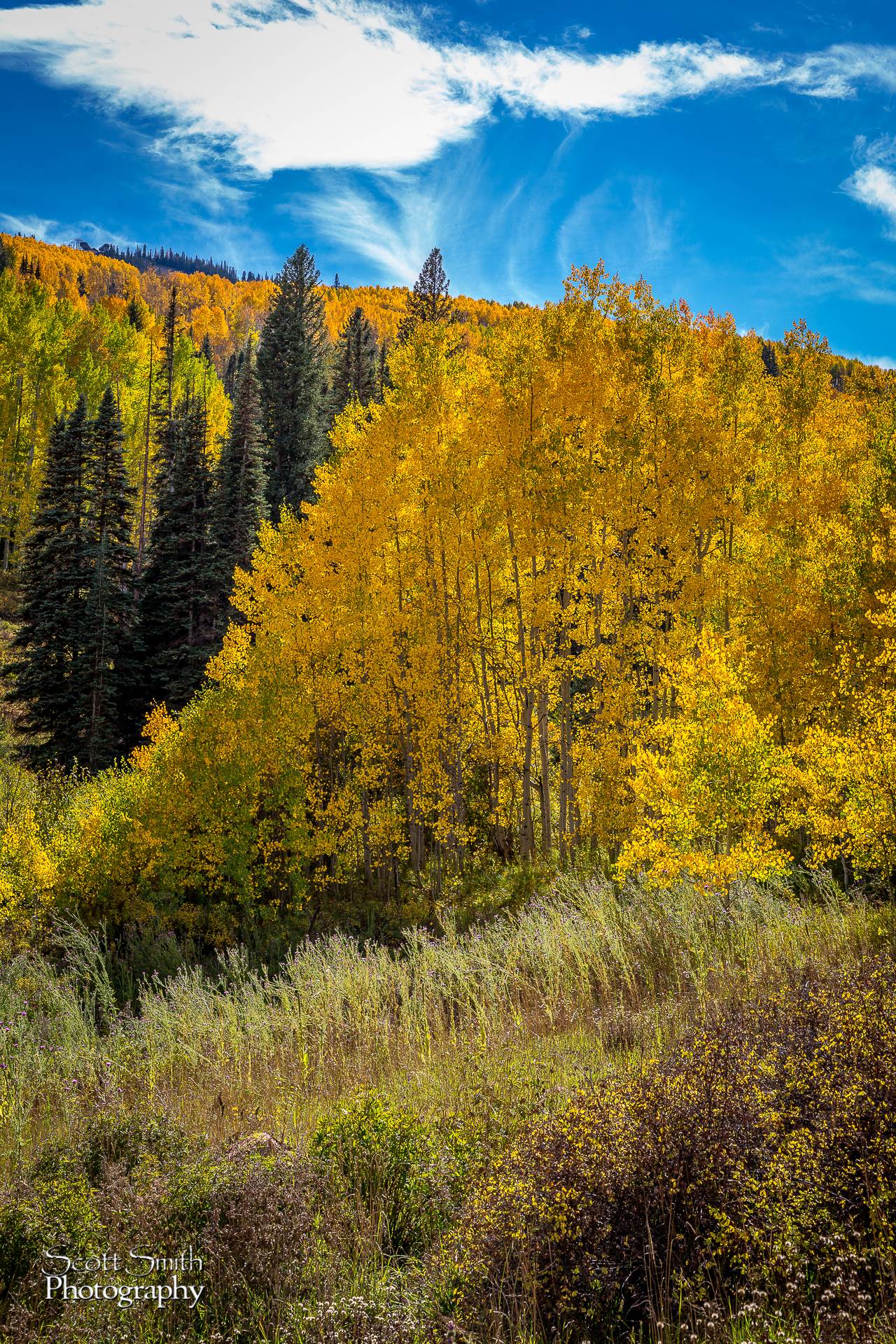_C4C3798-2.jpg - undefined by Scott Smith Photos