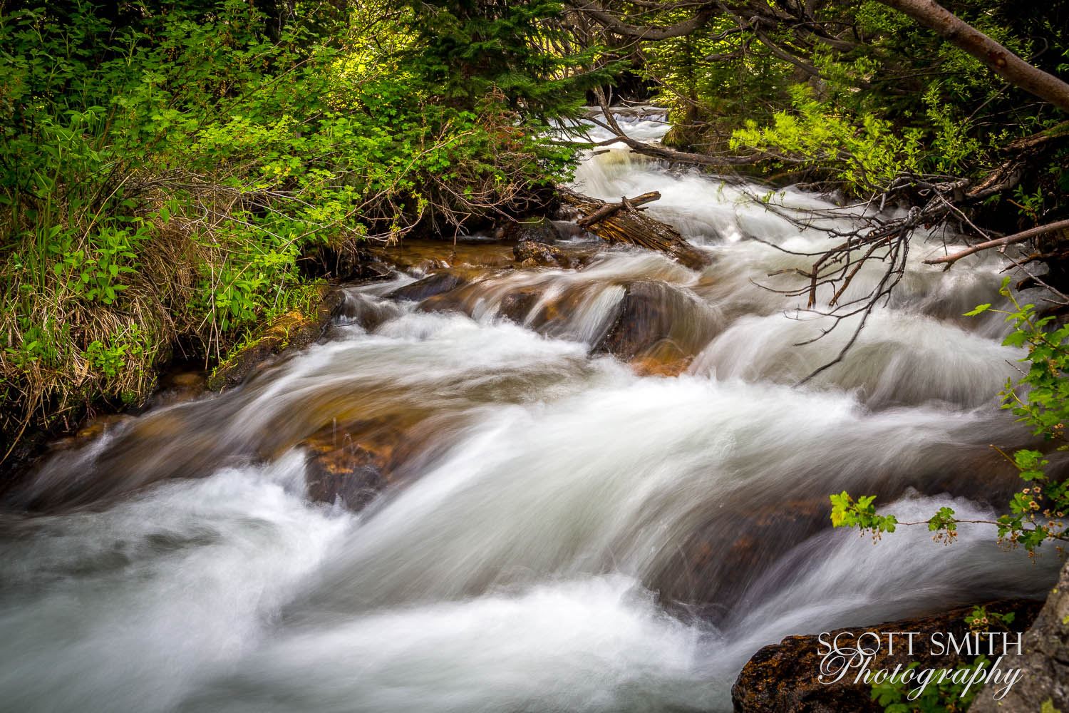 Bear Lake Trail 9 -  by Scott Smith Photos