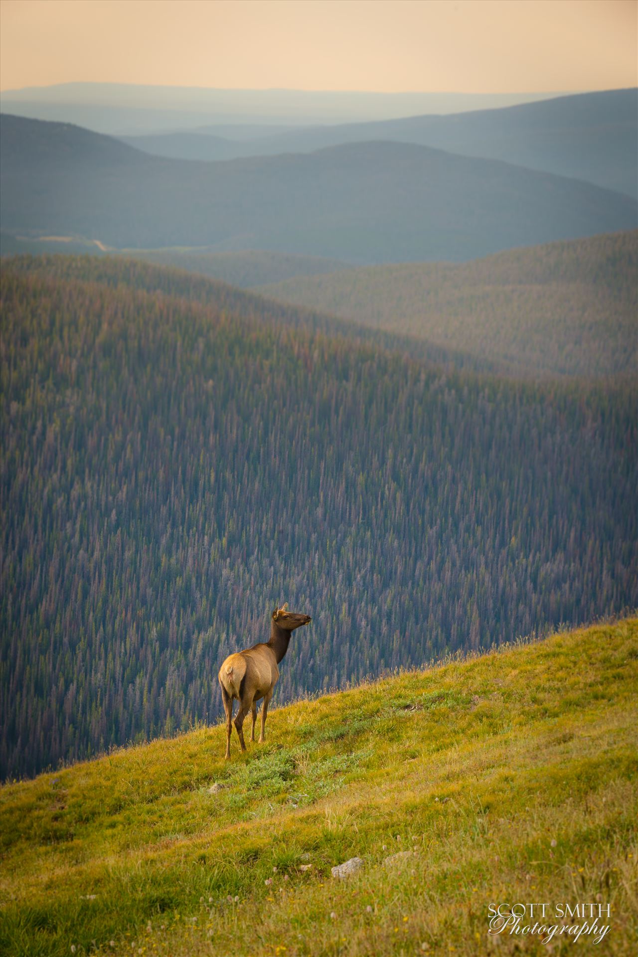 Solitude at Sunset -  by Scott Smith Photos