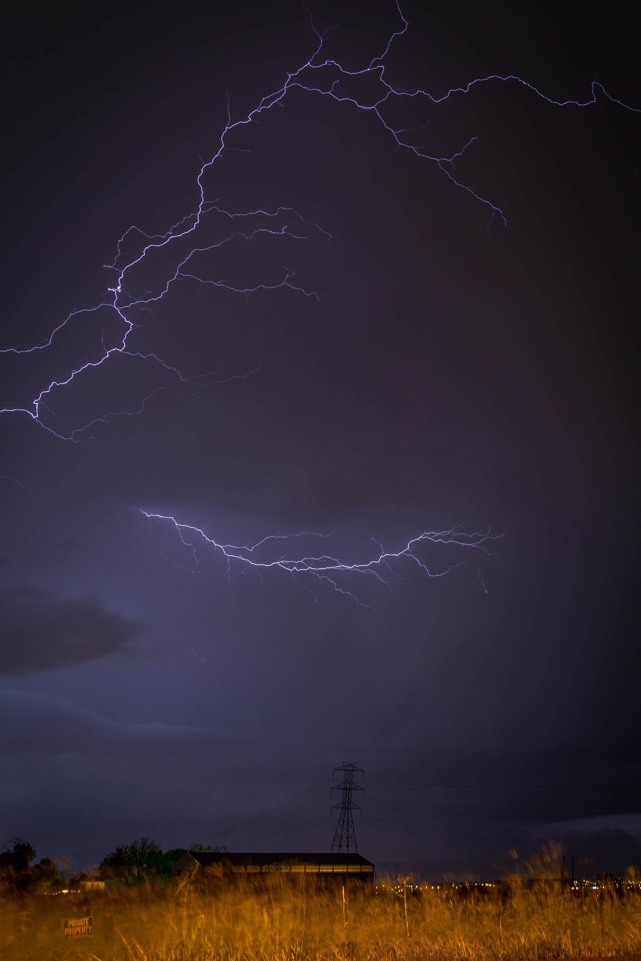 BC4C6788.jpg -  by Scott Smith Photos