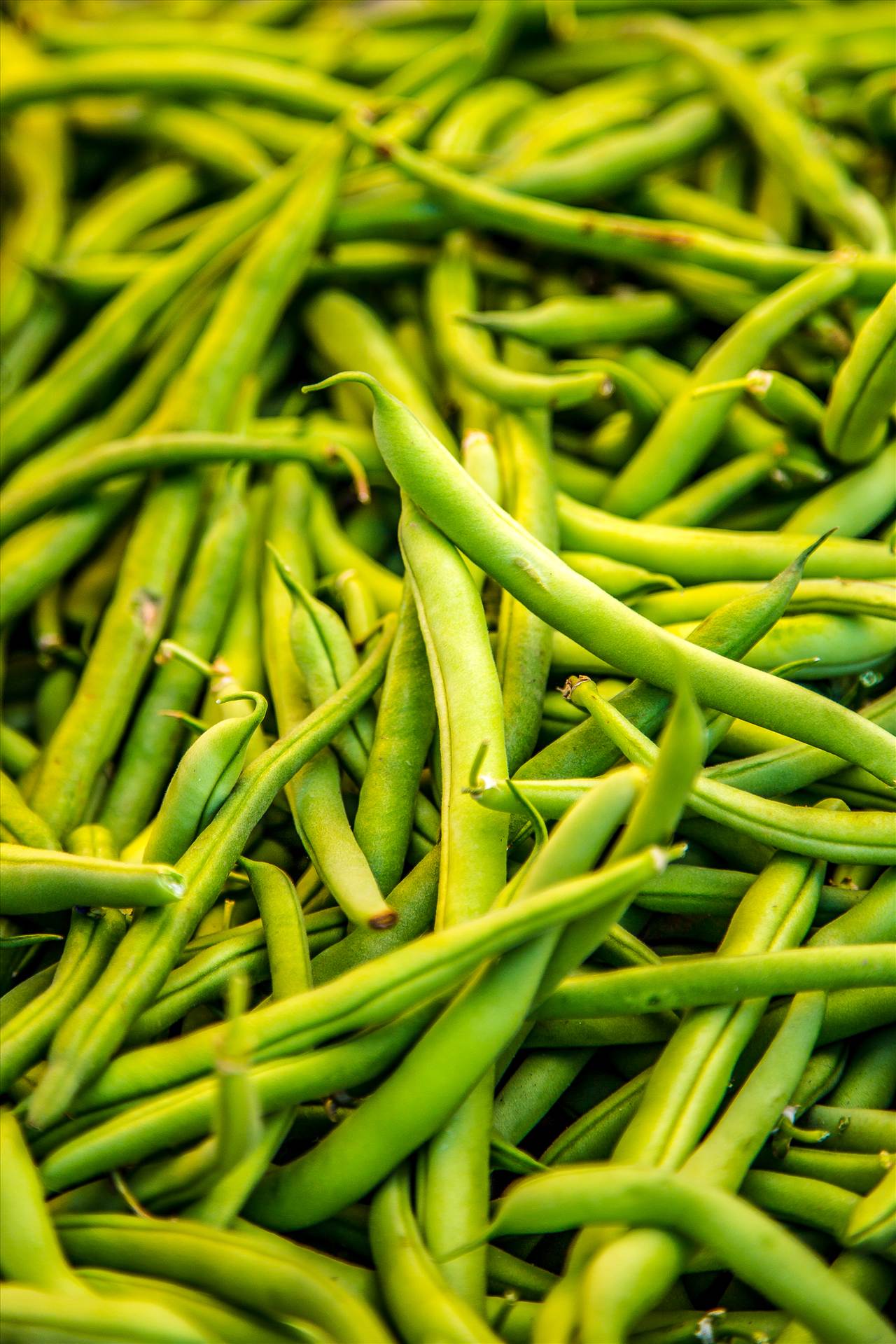 Fresh Beans -  by Scott Smith Photos