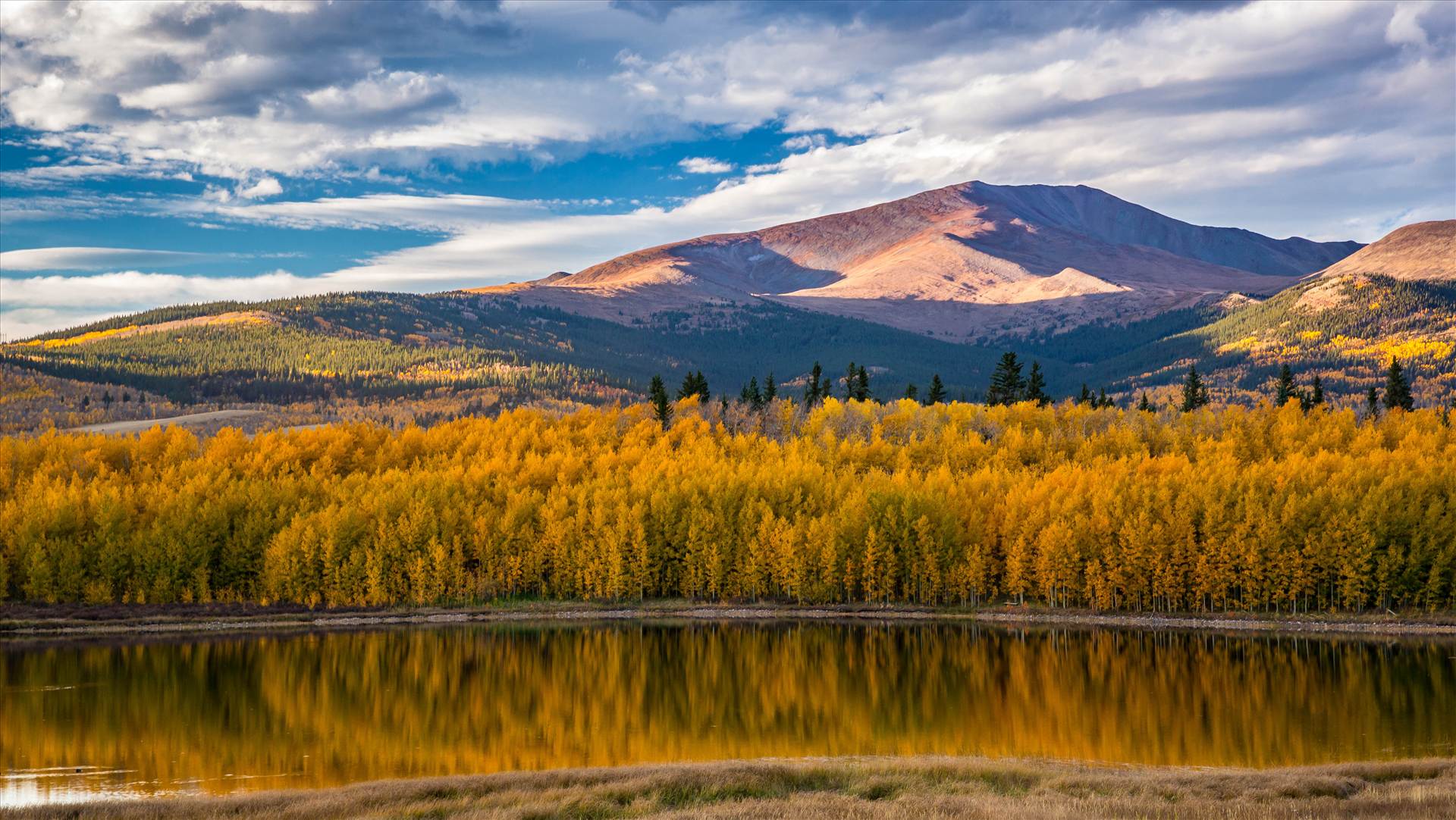 BC4C6625.jpg - undefined by Scott Smith Photos