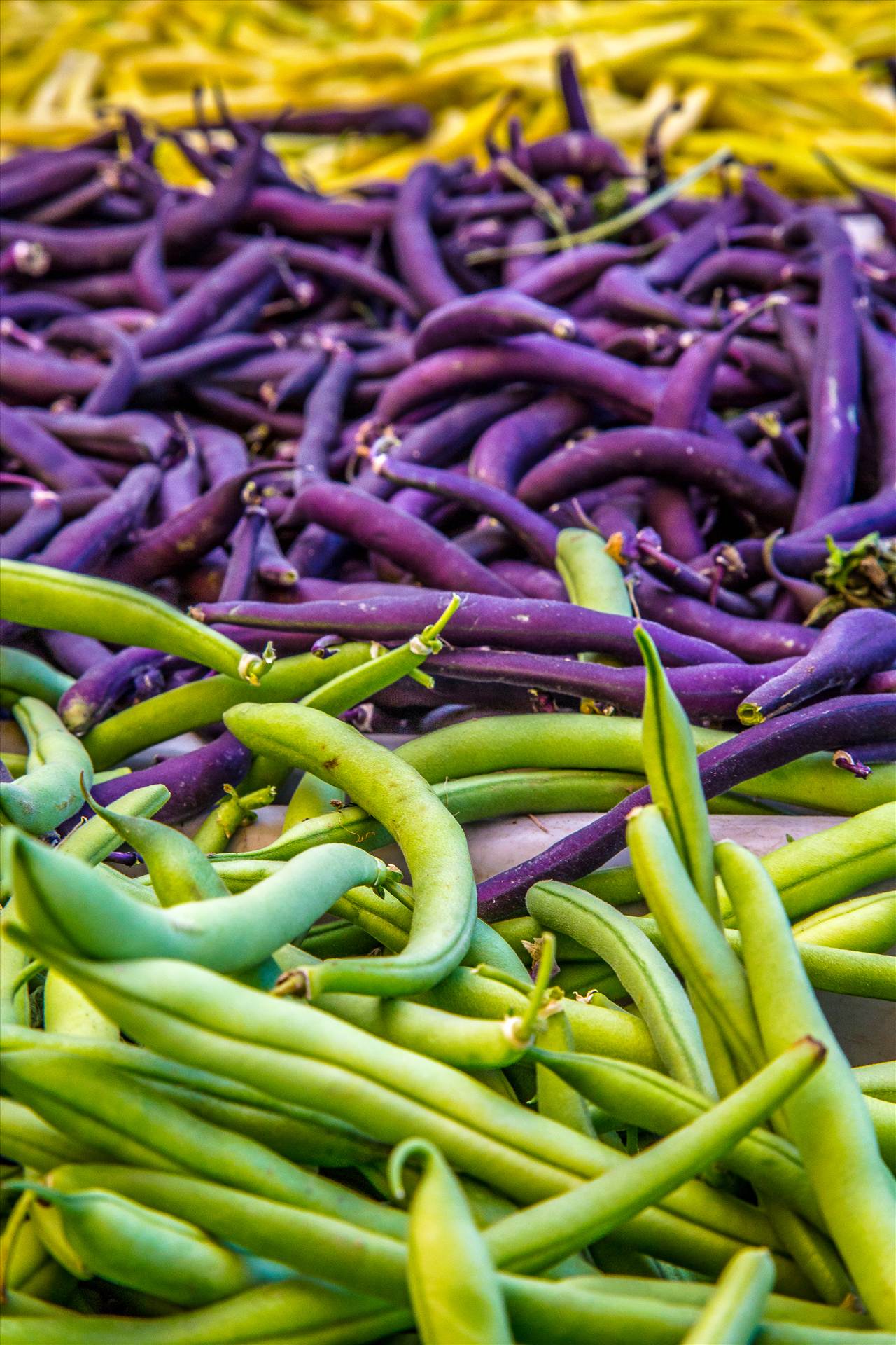 Beans and Beans -  by Scott Smith Photos