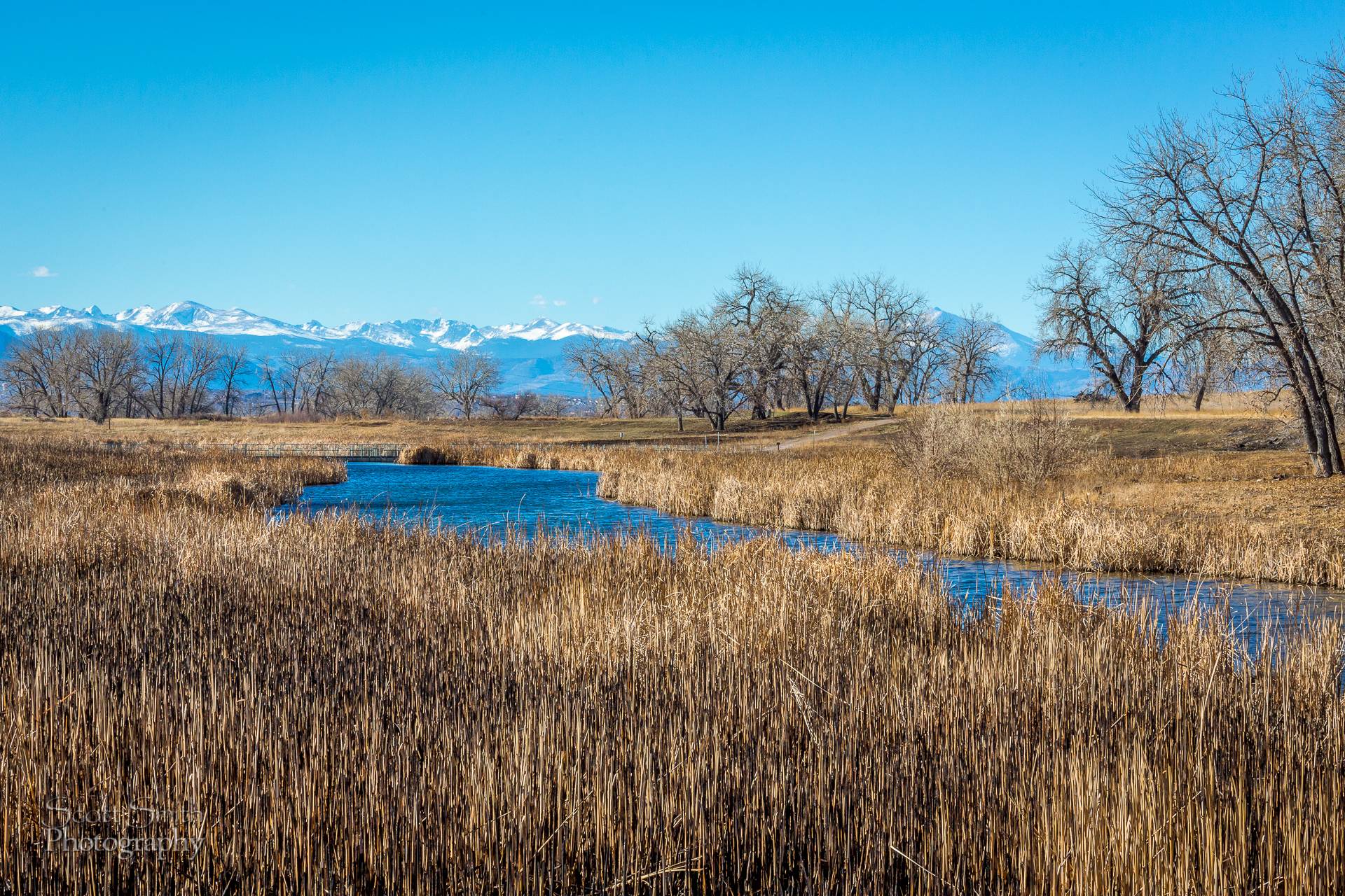 Rocky Mountain Arsenal Wildlife Refuge View - At the Rocky Mountain Arsenal Wildlife Refuge. by Scott Smith Photos