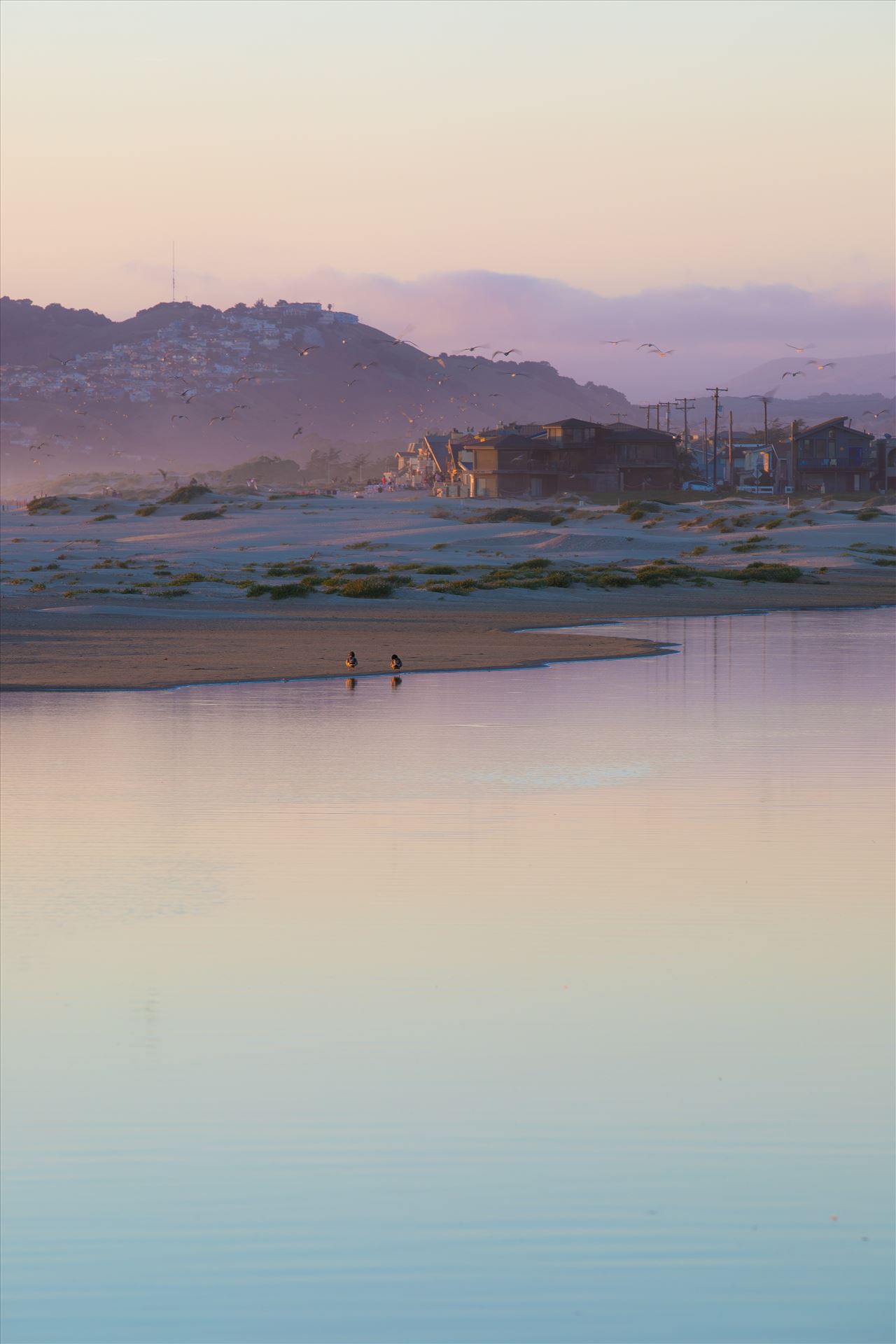 Sunset at the Dunes - Sunset at the Oceano Dunes in Pismo Beach, California. by Scott Smith Photos