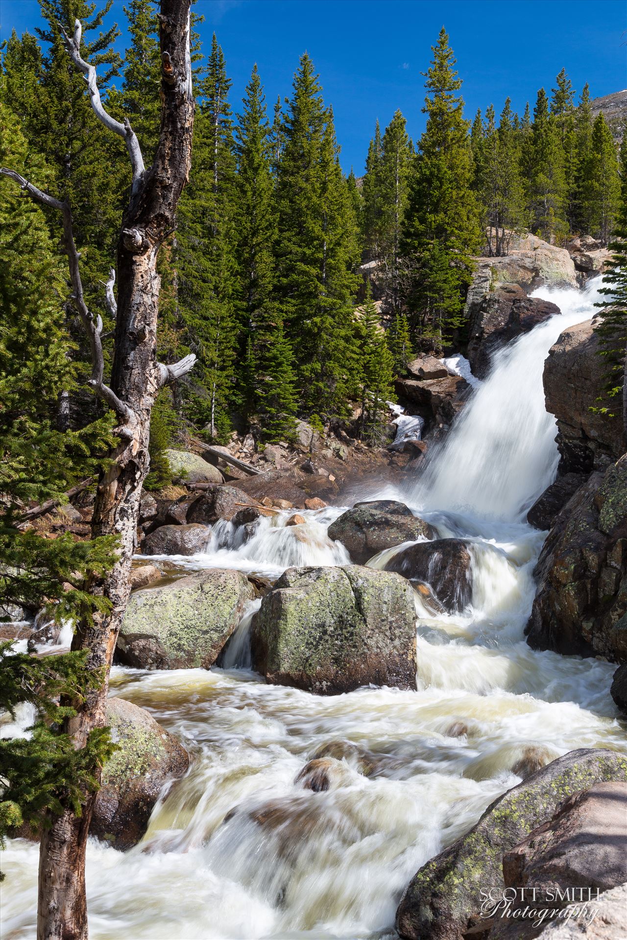 Alberta Falls, Wider -  by Scott Smith Photos