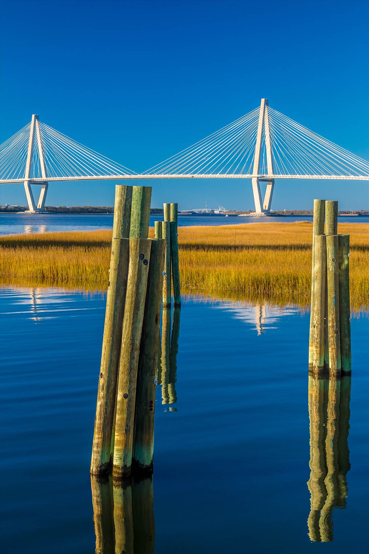 Arthur Ravenel Jr. Bridge From Patriots Point - From Patriots Point Naval & Maritime Museum in Charleston, South Carolina. by Scott Smith Photos