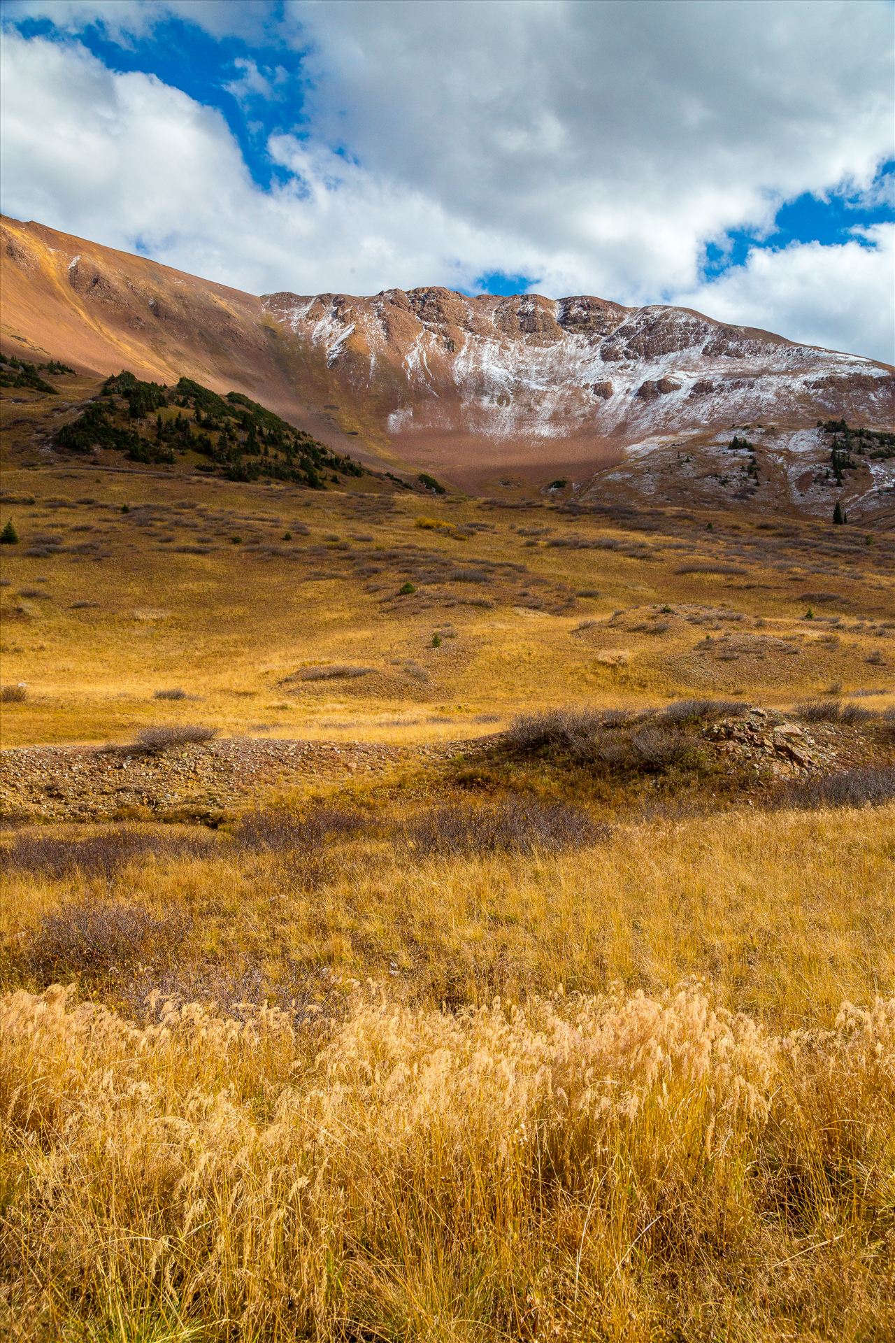 Snow and Grasses at Mount Baldy Wilderness - Snow and fall grasses on the peaks at the Mount Baldy Wilderness area, near the summit. Taken from Schofield Pass in Crested Butte, Colorado. by Scott Smith Photos