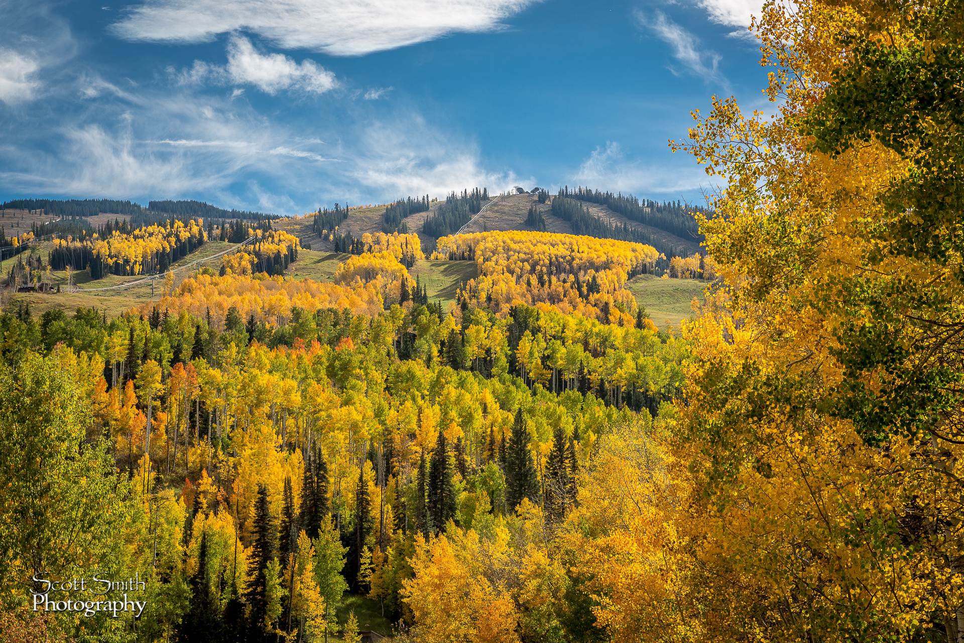 _C4C3849-2.jpg - undefined by Scott Smith Photos