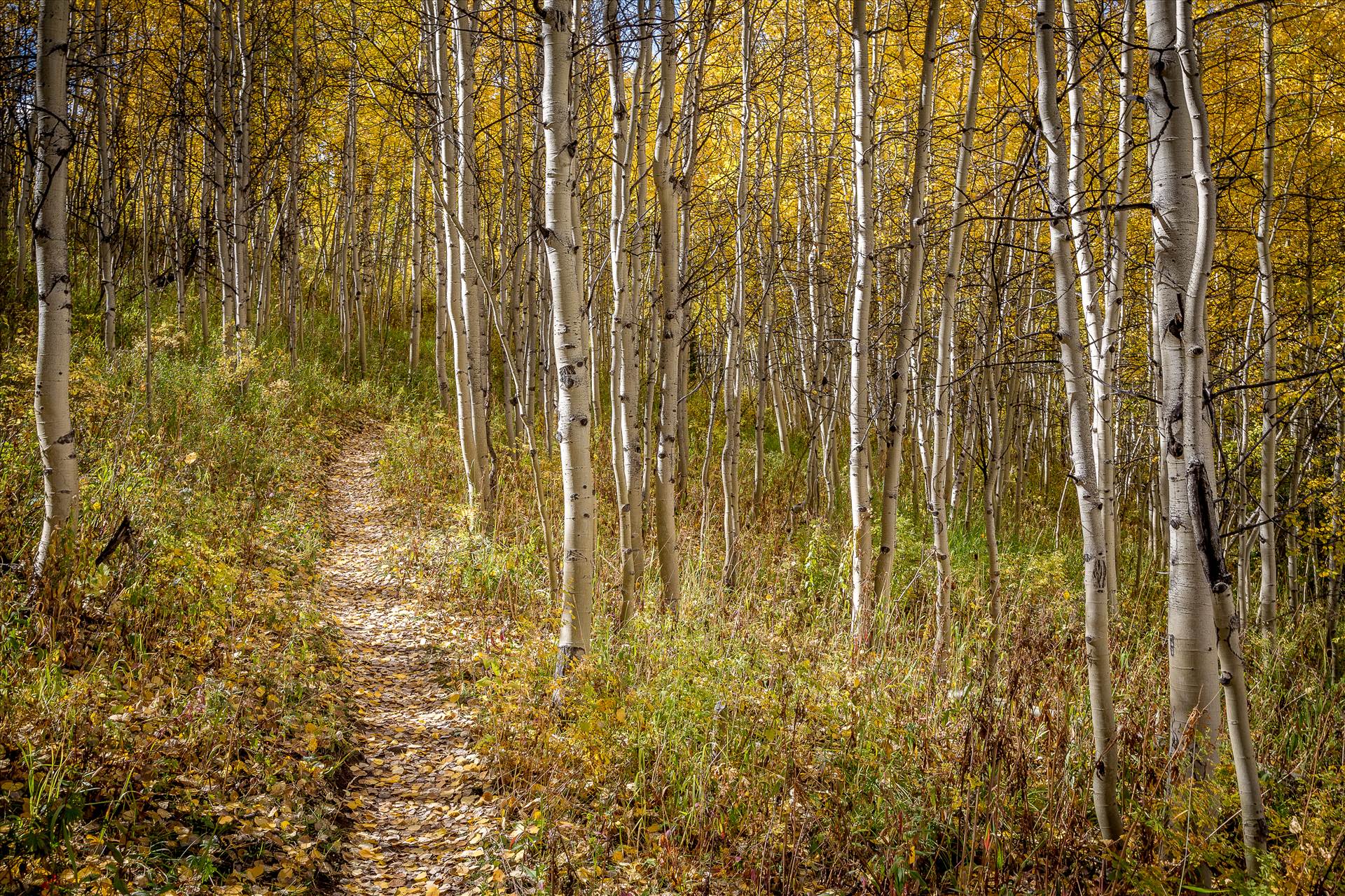 Hiking on Rim Trail -  by Scott Smith Photos