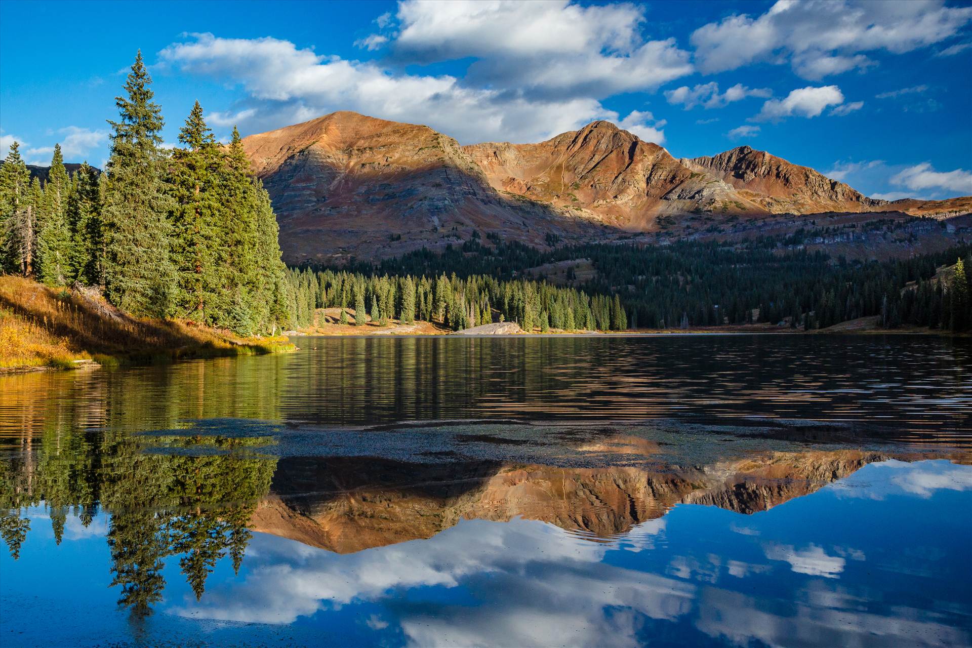 BC4C7335.jpg - undefined by Scott Smith Photos