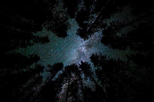 A beautiful view of the milky way from our campsite at Turquoise Lake, Leadville Colorado, adjusted for portrait view.