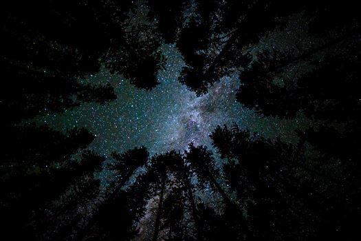 Camping with a View - Landscape - A beautiful view of the milky way from our campsite at Turquoise Lake, Leadville Colorado, adjusted for portrait view.