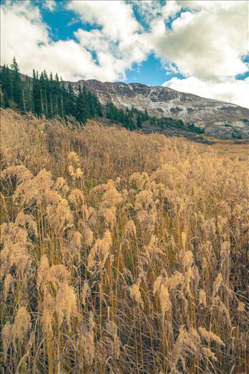 Mount Baldy Wilderness Area near Crested Butte, Colorado.