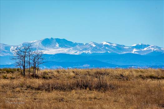 The front range from the Rocky Mountain Arsenal Wildlife Refuge.