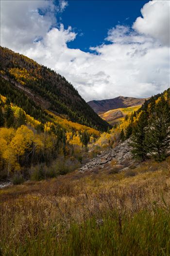 Fall grasses and valley in the Snowmass Wilderness Area.