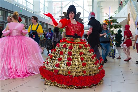 Denver Comic Con 2016 11 - Denver Comic Con 2016 at the Colorado Convention Center.