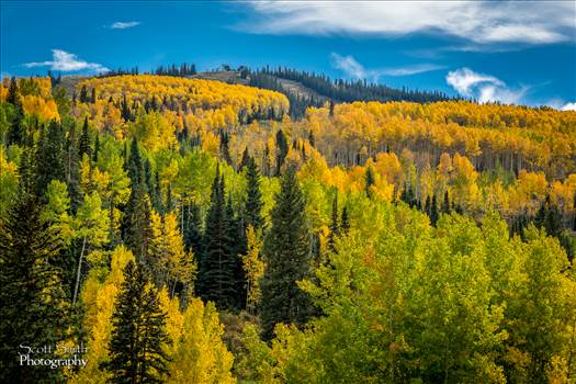 Aspen Snowmass Area - Beautiful fall Colorado colors found near Aspen, Snowmass, and Independence pass.